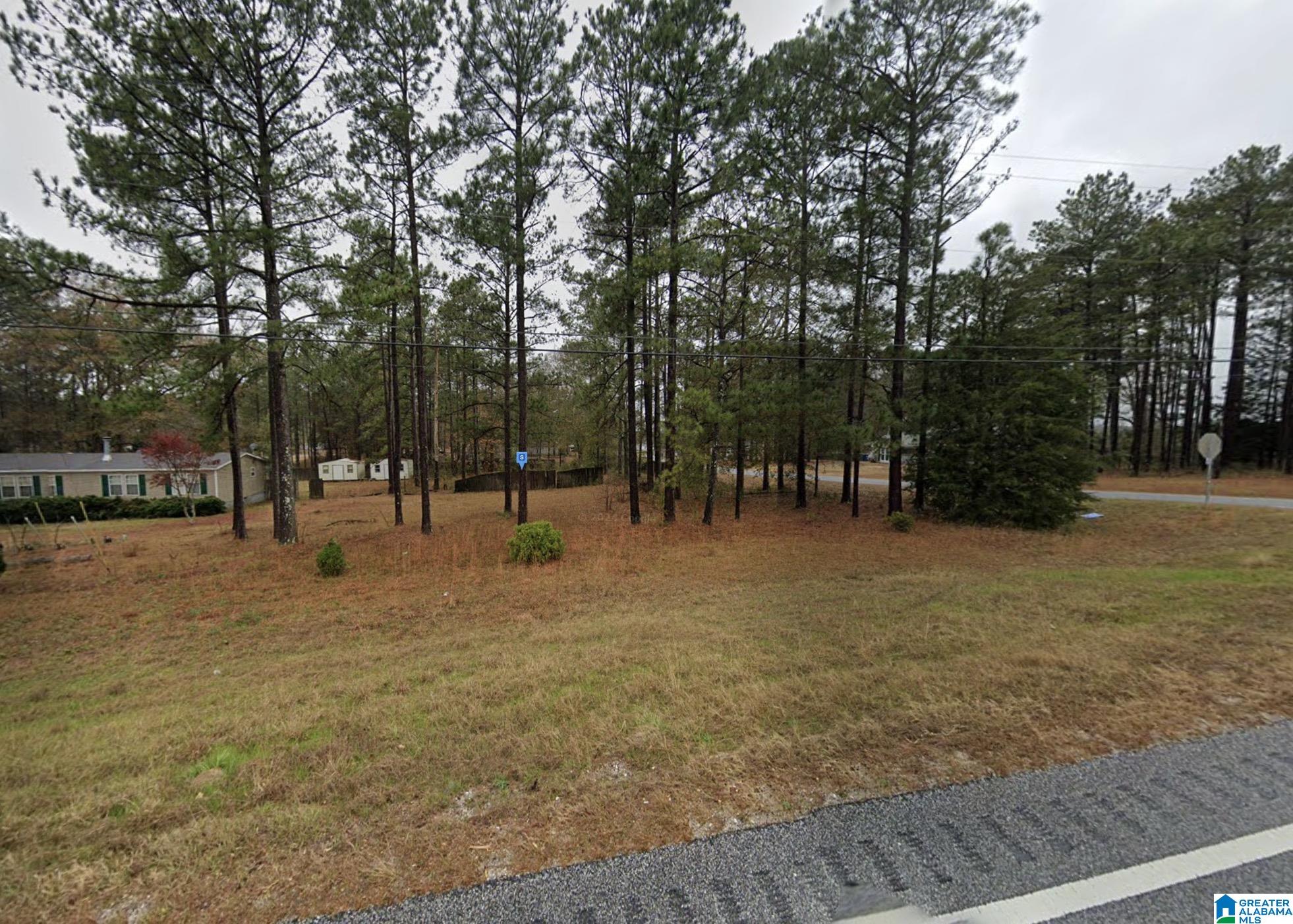 Homes for sale in Salem, AL | 12755 Hwy 169, Salem, AL 36874 | MLS# 21436467