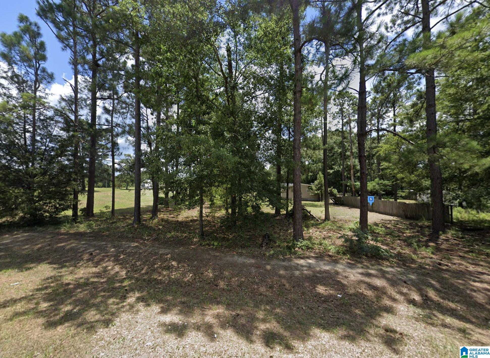 Homes for sale in Salem, AL | 12755 Hwy 169, Salem, AL 36874 | MLS# 21436467
