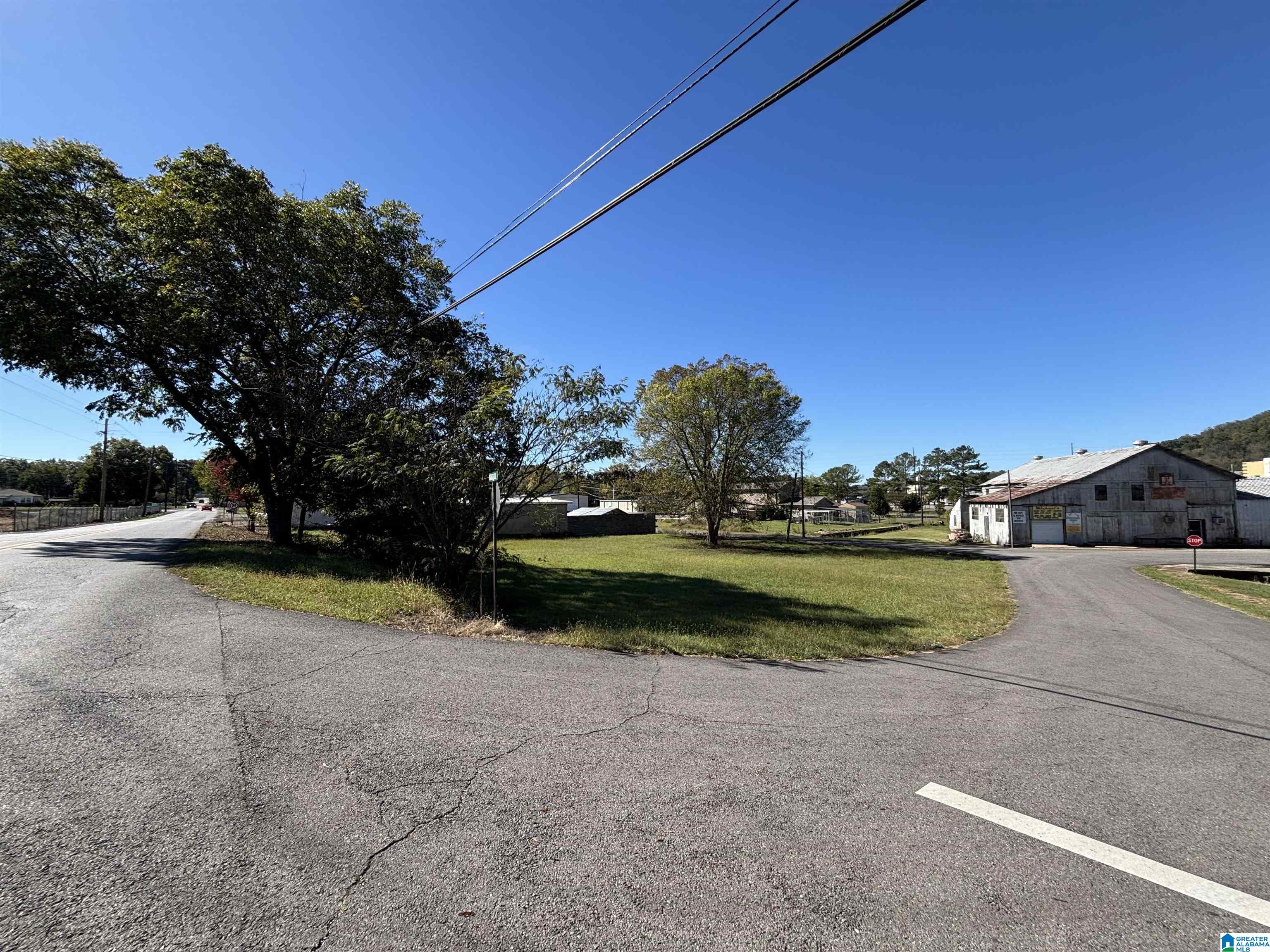 Homes for sale in Oneonta, AL | High School Street, Oneonta, AL 35121 | MLS# 21436505