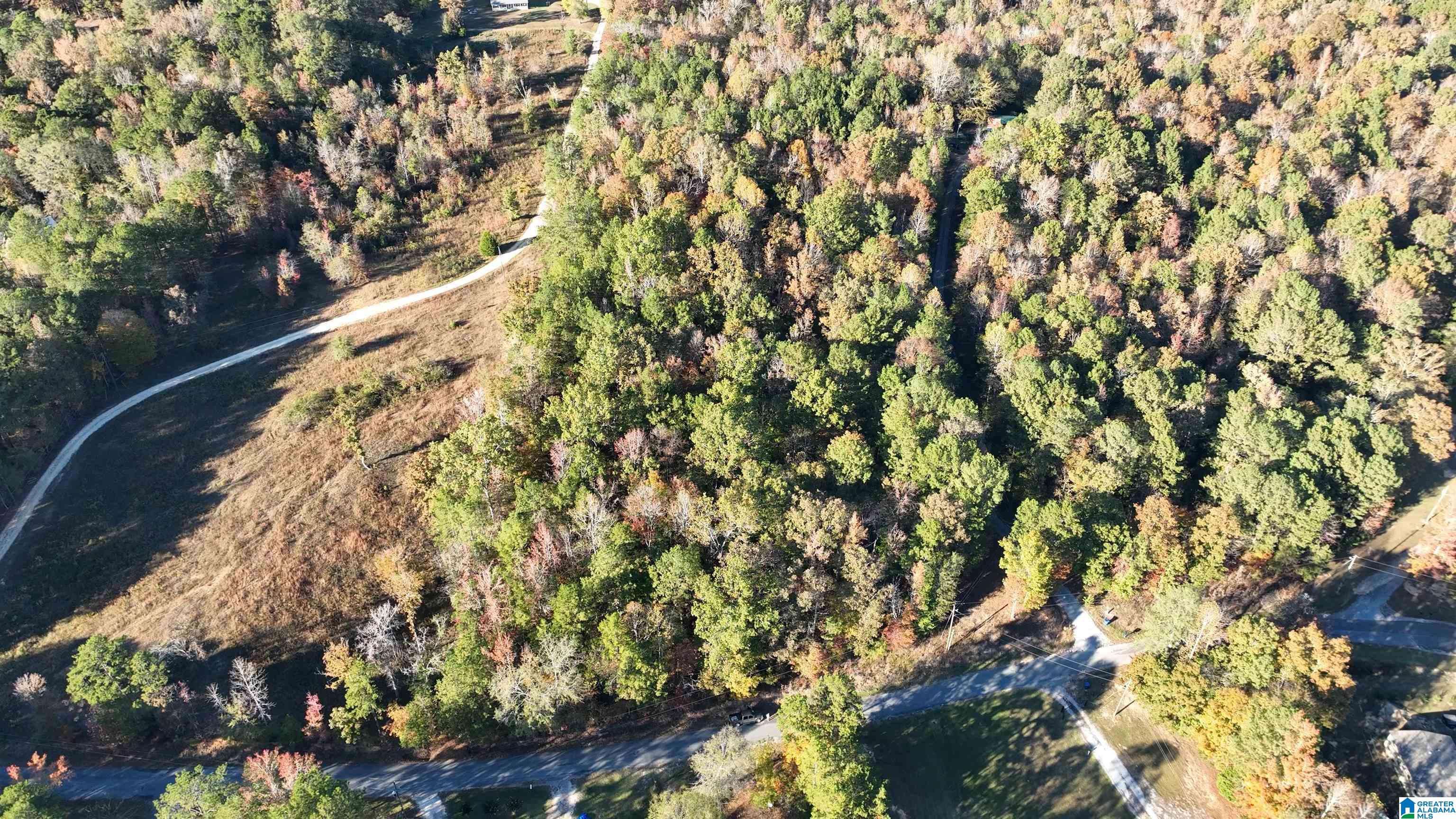 Homes for sale in Ashville, AL | 0 Waldrop Road, Ashville, AL 35953 | MLS# 21436517