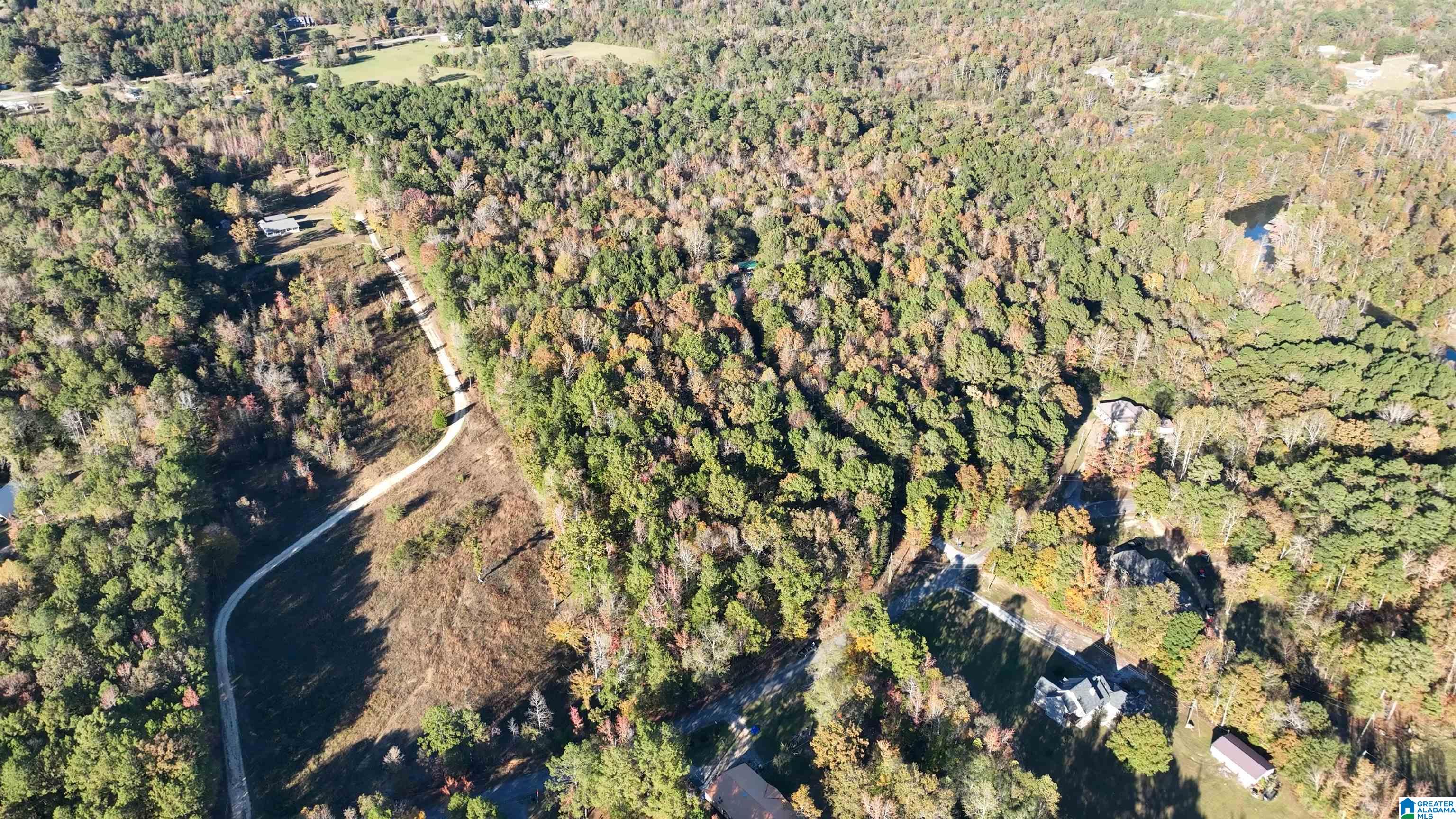 Homes for sale in Ashville, AL | 0 Waldrop Road, Ashville, AL 35953 | MLS# 21436517