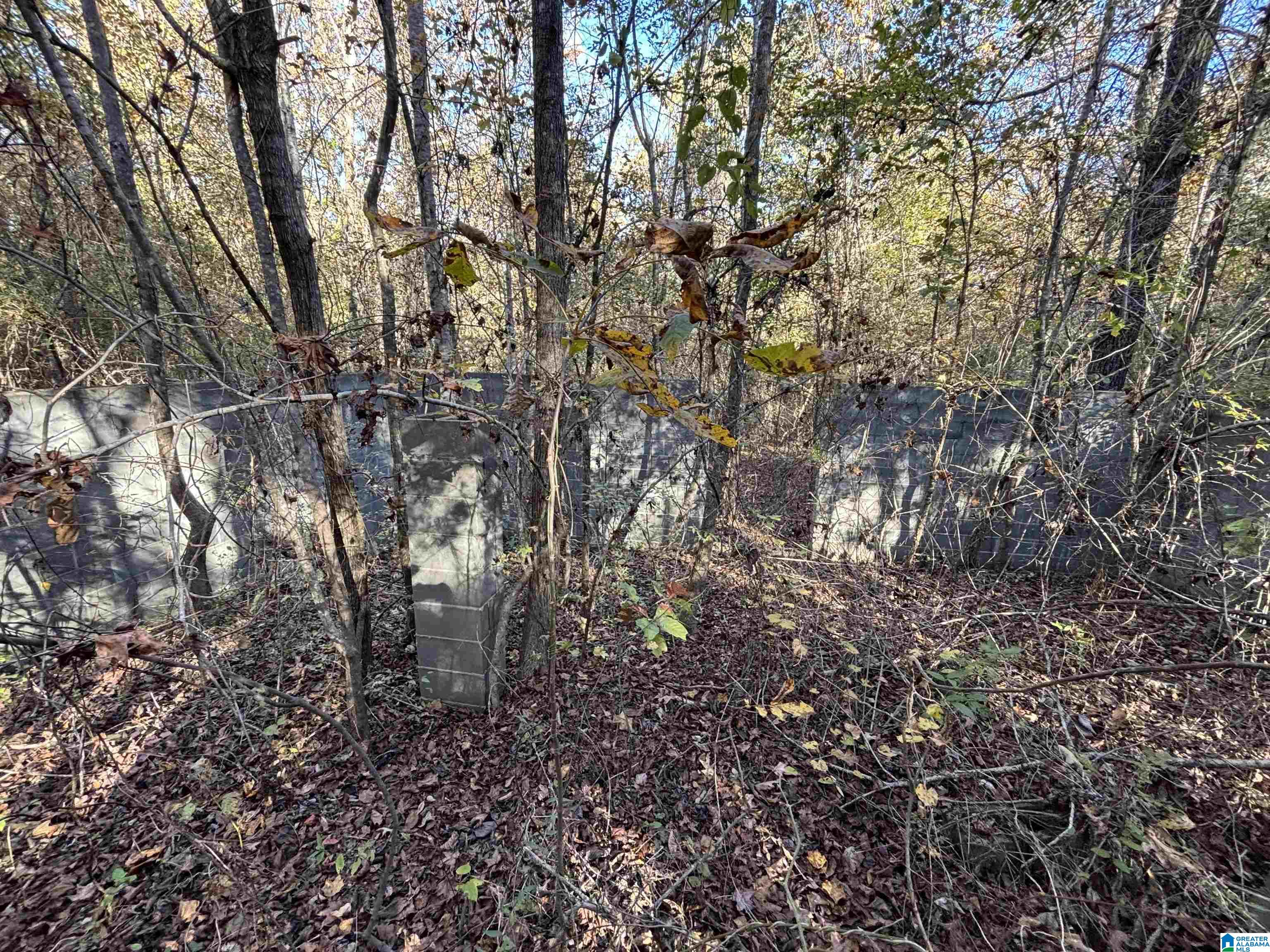 Homes for sale in Ashville, AL | 0 Waldrop Road, Ashville, AL 35953 | MLS# 21436517