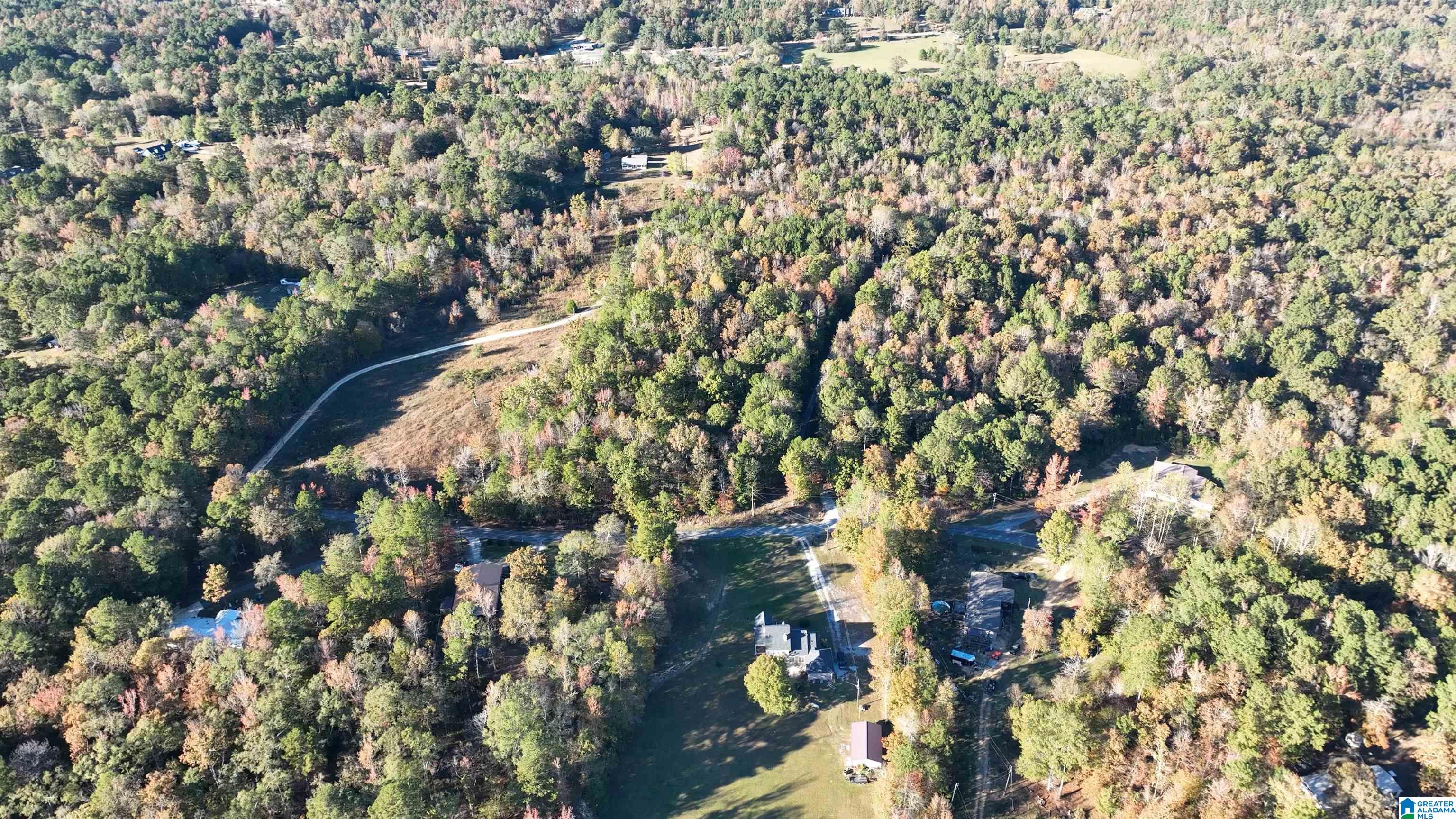 Homes for sale in Ashville, AL | 0 Waldrop Road, Ashville, AL 35953 | MLS# 21436517