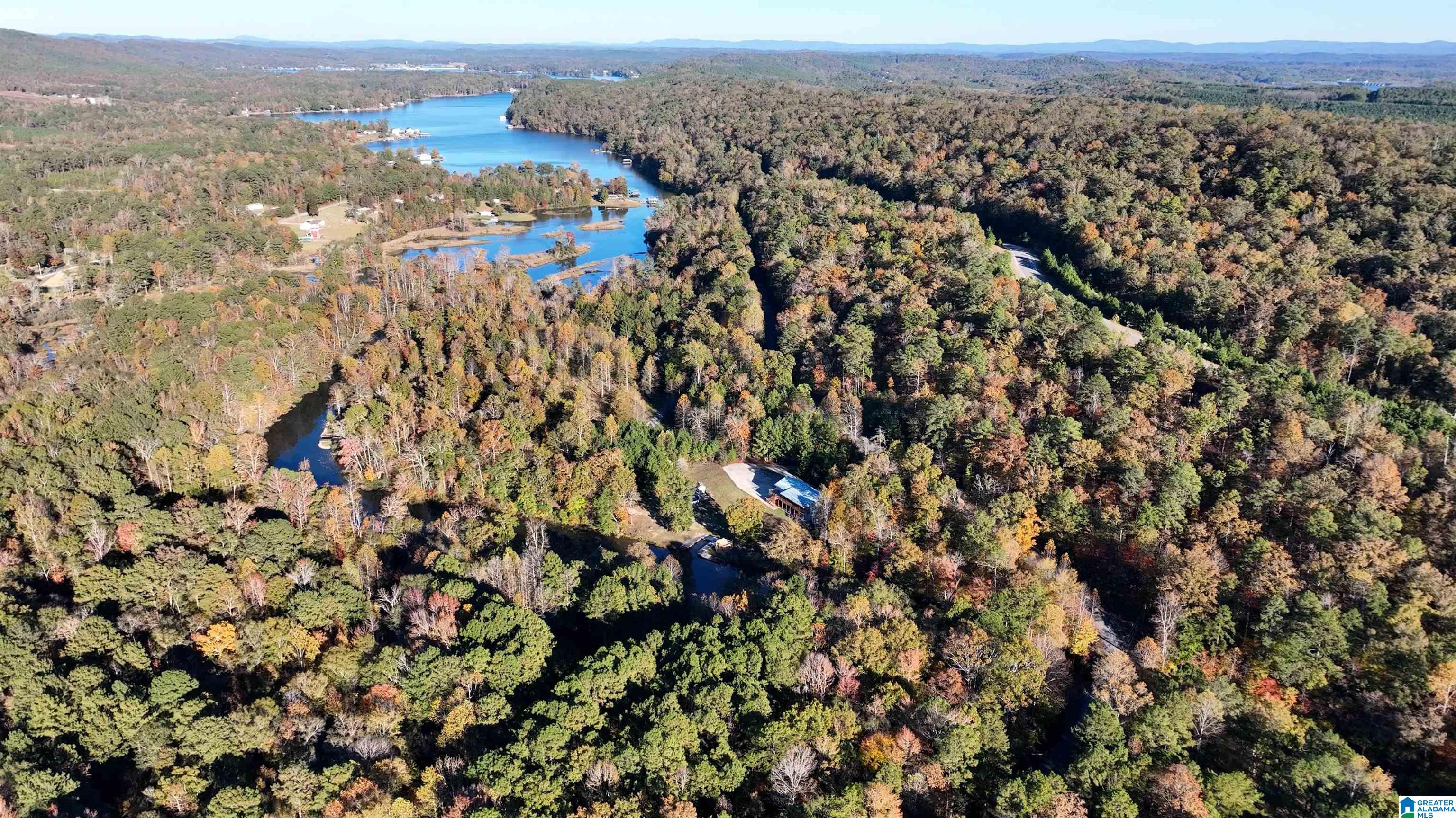 Homes for sale in Ashville, AL | 0 Waldrop Road, Ashville, AL 35953 | MLS# 21436517