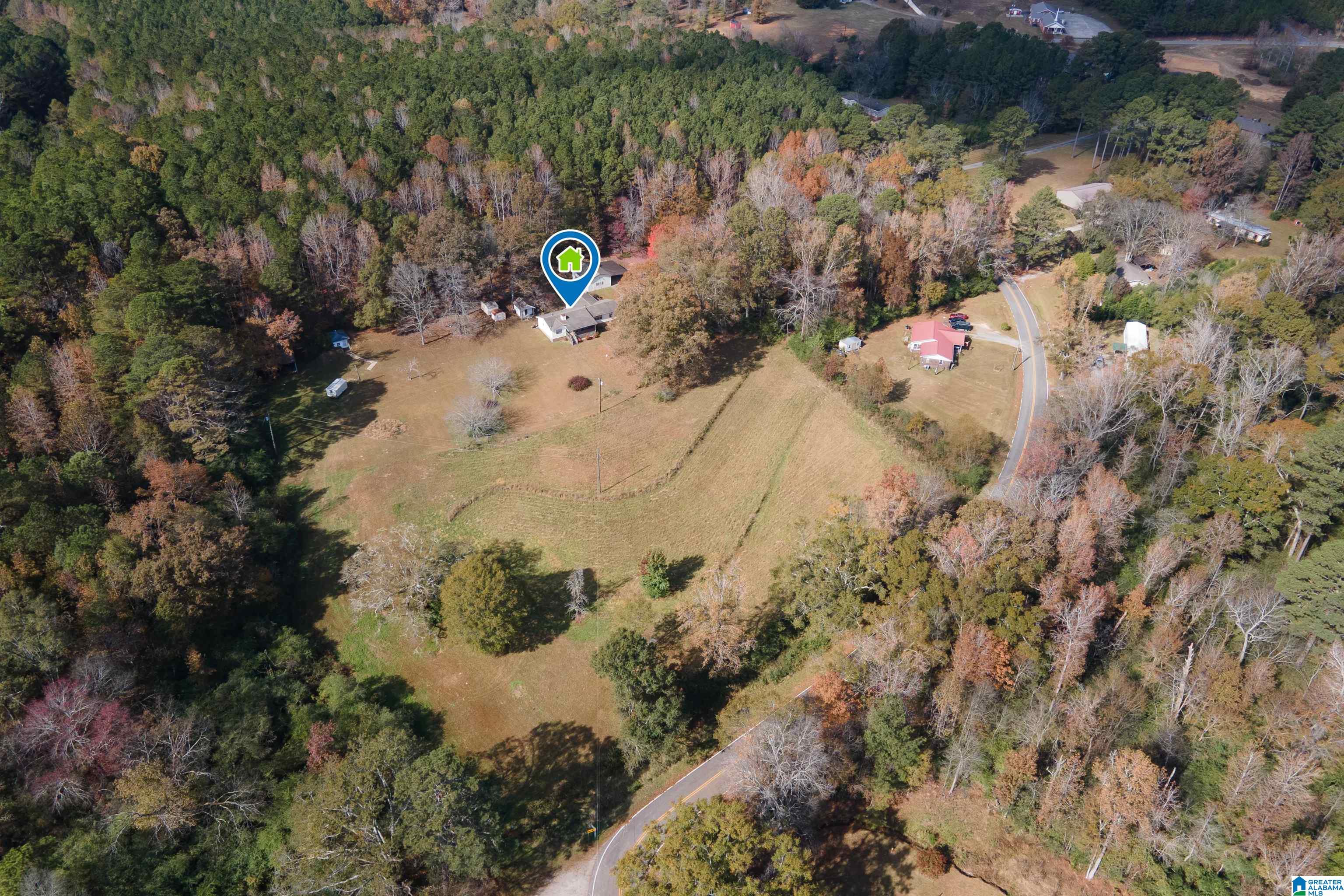 Homes for sale in Mount Olive, AL | 1864 Kelly Loop Road, Mount Olive, AL 35117 | MLS# 21436573