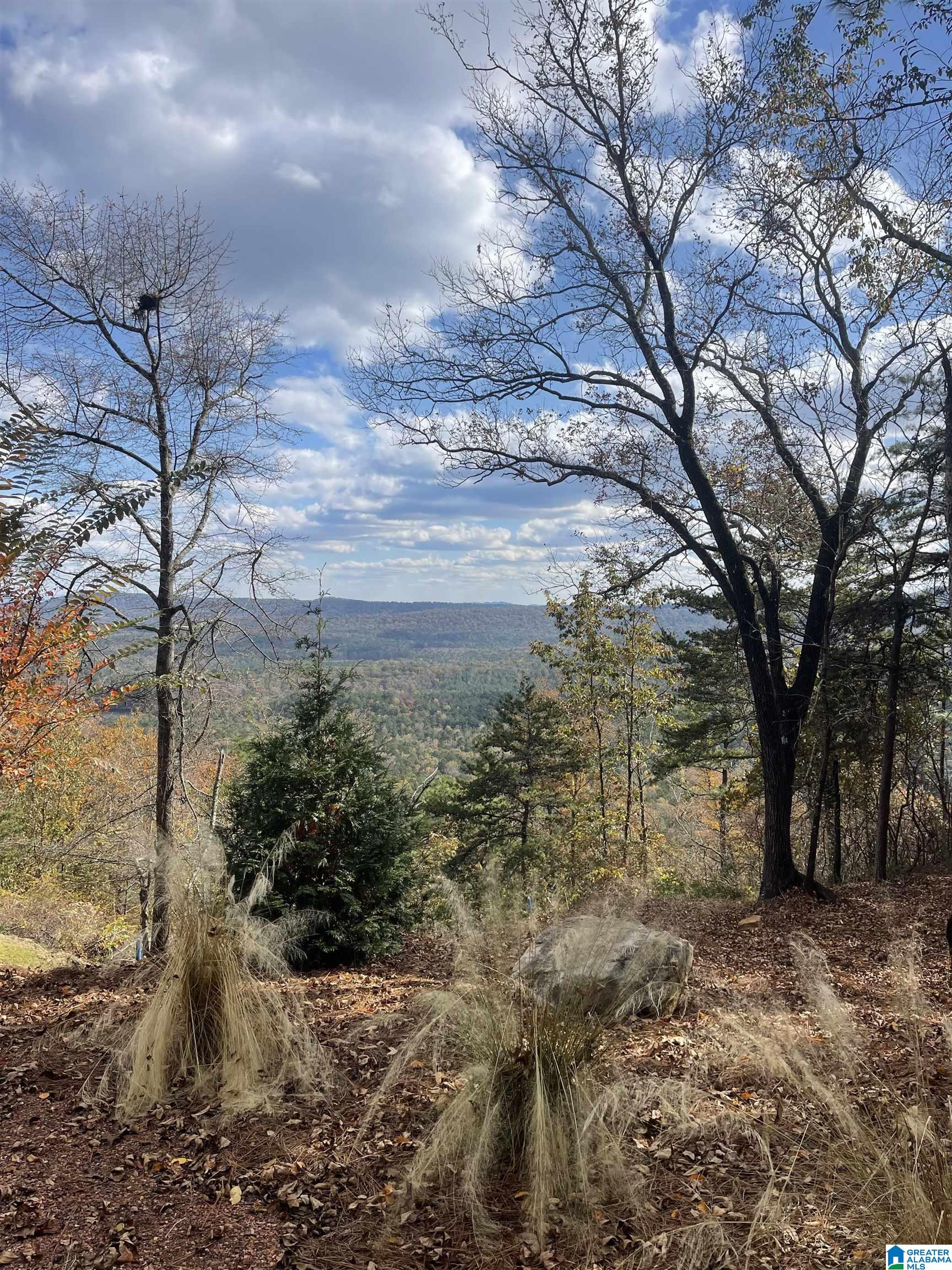 Homes for sale in Vandiver, AL | 0 Lakeview Ridge, Vandiver, AL 35176 | MLS# 21436669