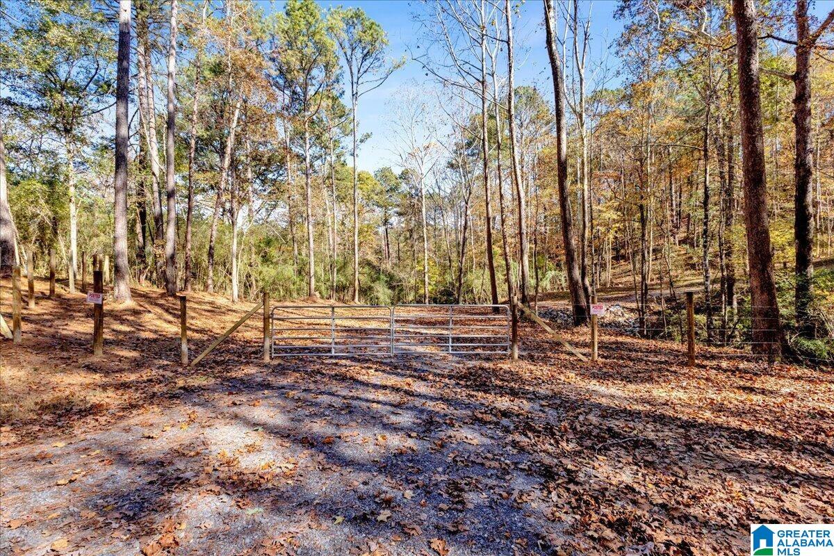 Homes for sale in Trussville, AL | 0 Hammock Road, Trussville, AL 35173 | MLS# 21436682