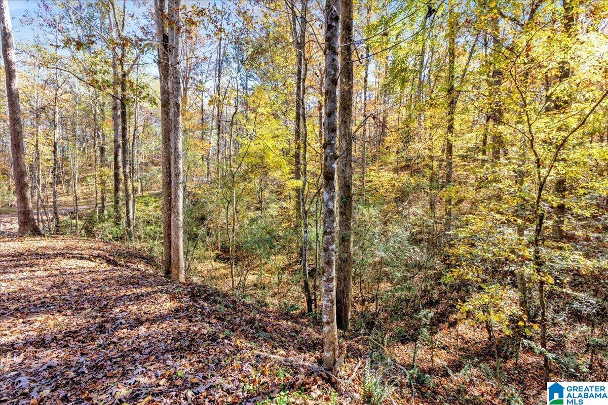 Homes for sale in Trussville, AL | 0 Hammock Road, Trussville, AL 35173 | MLS# 21436682