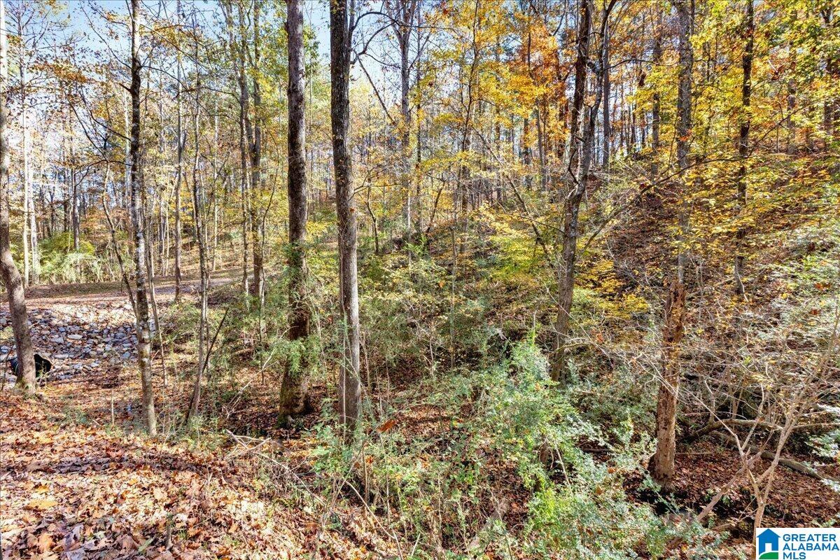 Homes for sale in Trussville, AL | 0 Hammock Road, Trussville, AL 35173 | MLS# 21436682