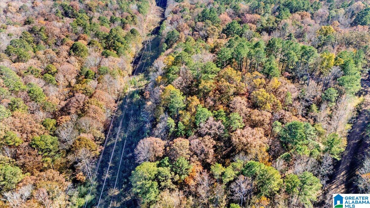 Homes for sale in Trussville, AL | 0 Hammock Road, Trussville, AL 35173 | MLS# 21436682