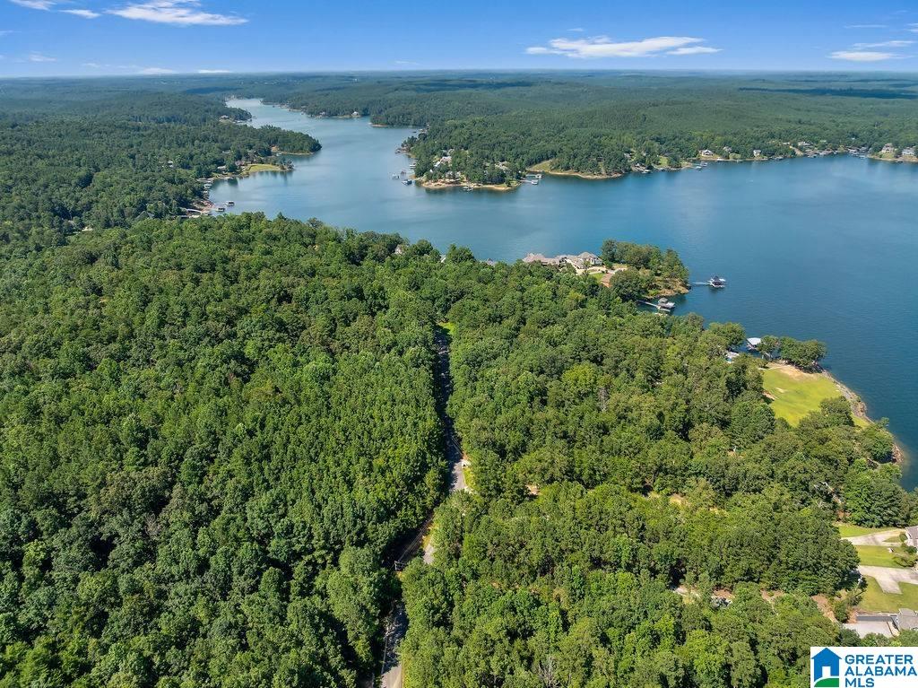 Homes for sale in Arley, AL | 000 Lake Pointe Dr, Arley, AL 35541 | MLS# 21436727