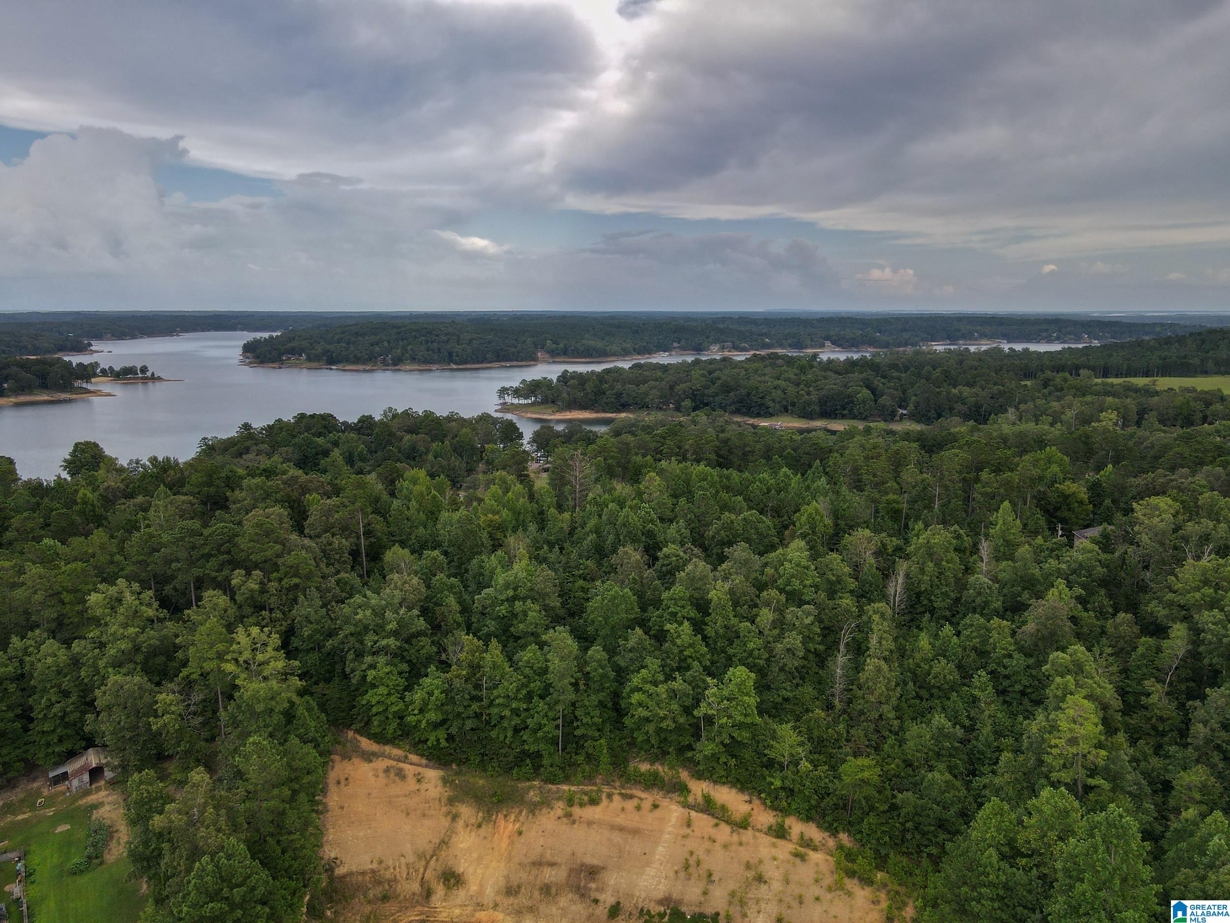 Homes for sale in Jasper, AL | 000 Oak Leaf Court, Jasper, AL 35504 | MLS# 21436730