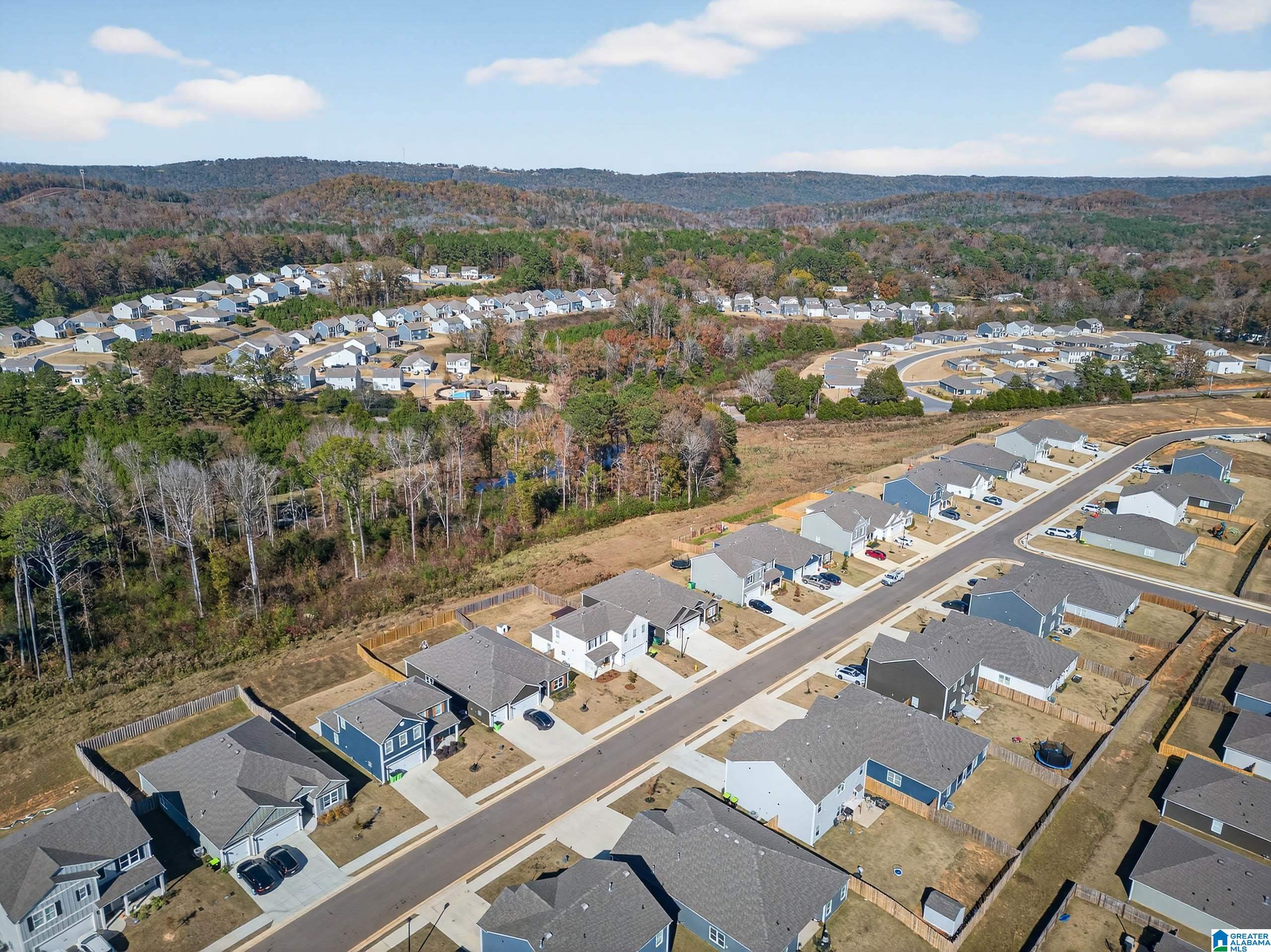 Homes for sale in Springville, AL | 200 Archers Brook Dr, Springville, AL 35146 | MLS# 21436733