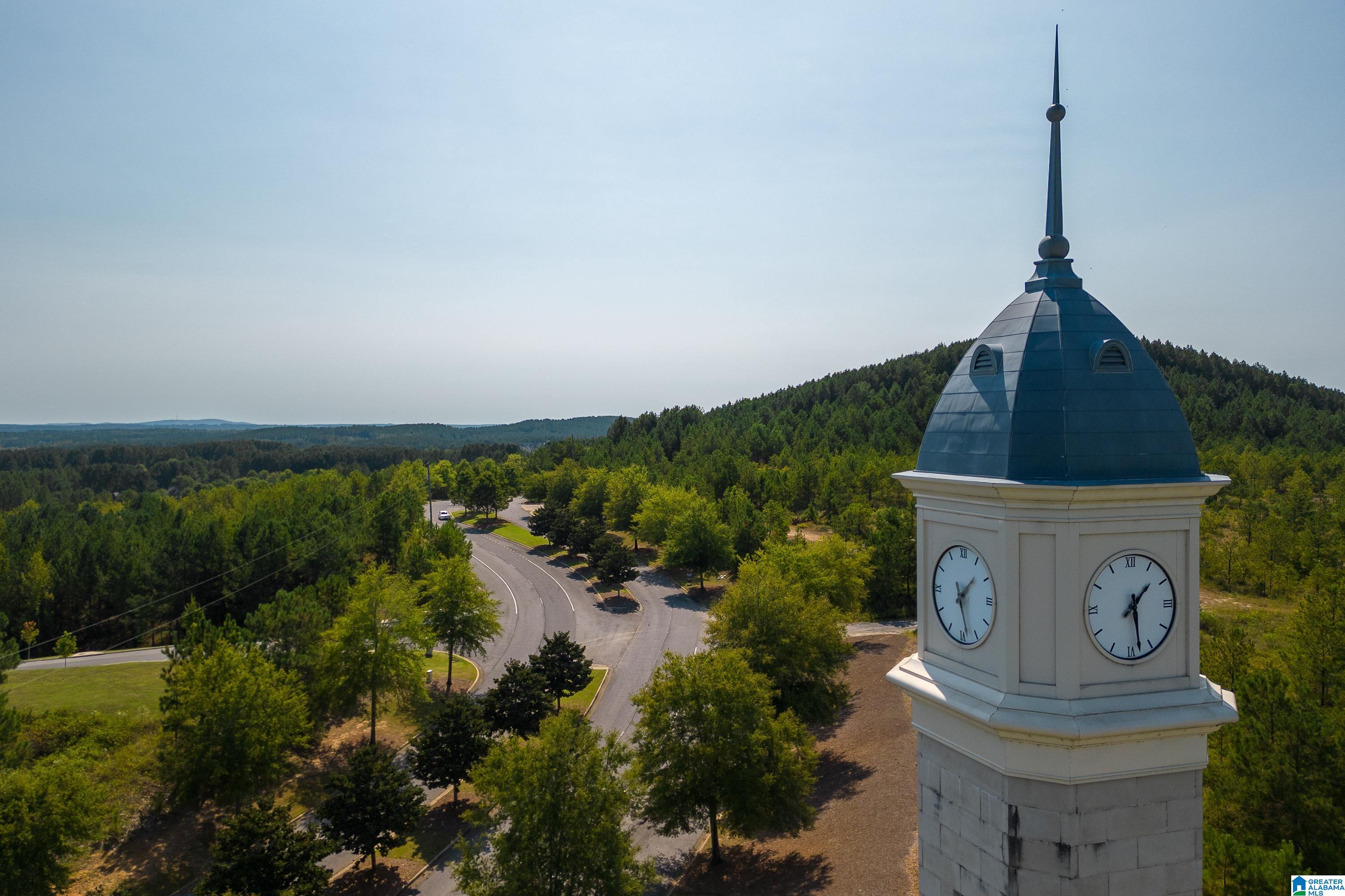 Homes for sale in Chelsea, AL | 1320 Chelsea Park Trail, Chelsea, AL 35043 | MLS# 21436776