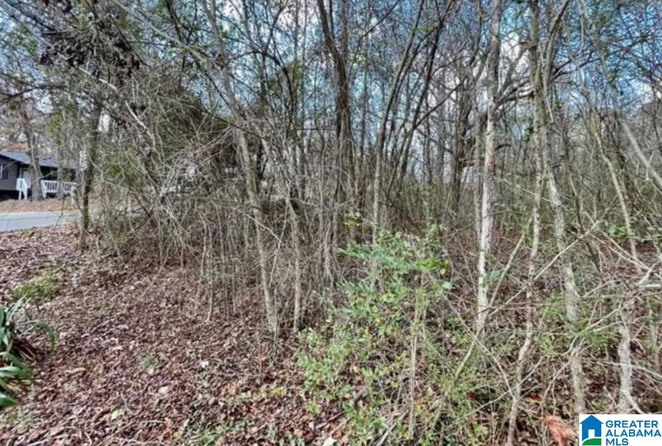 Homes for sale in Trussville, AL | 5869 Janet Dr, Trussville, AL 35173 | MLS# 21436834