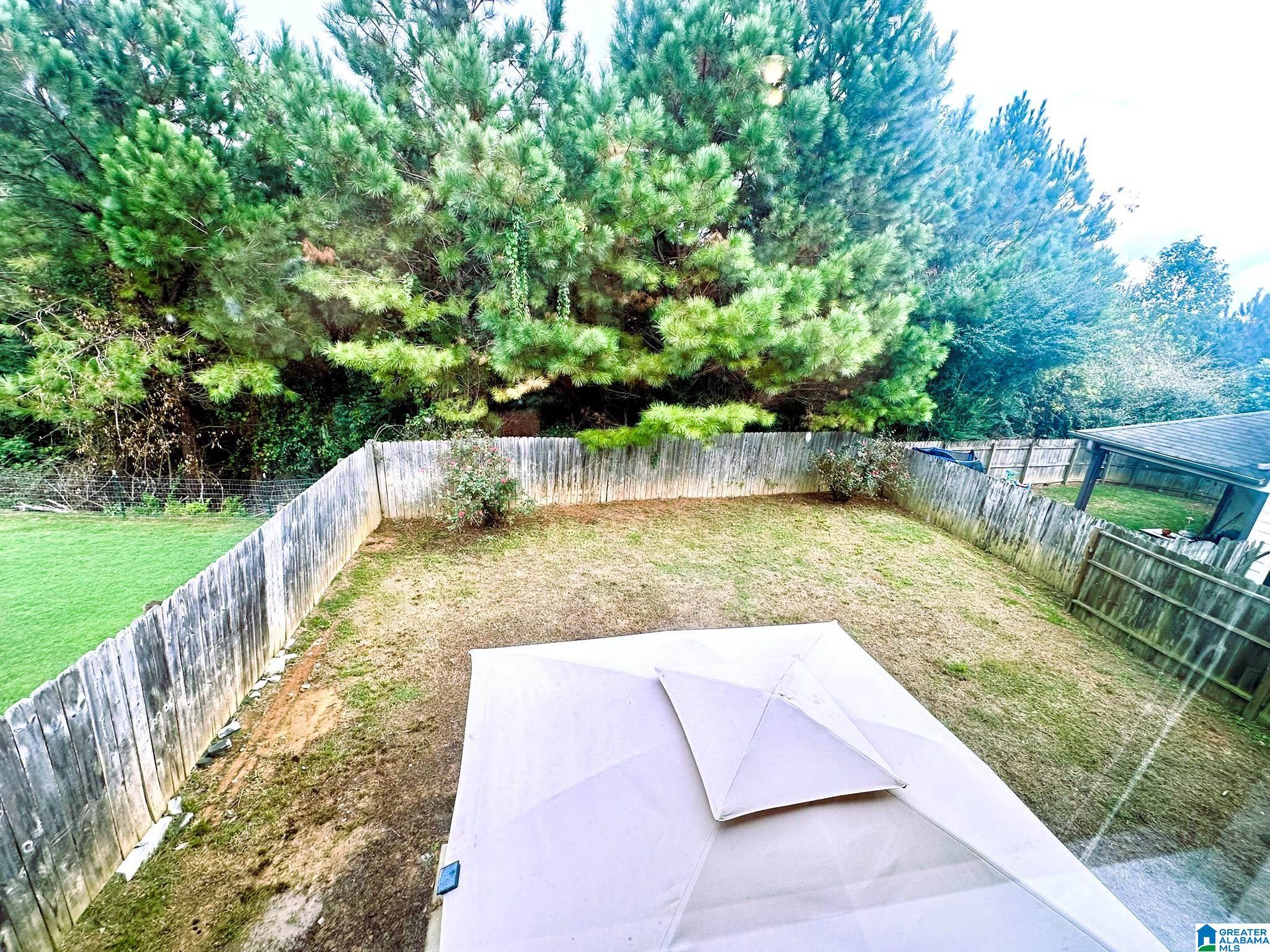 Homes for sale in Springville, AL | 135 Village Springs Cove, Springville, AL 35146 | MLS# 21436854