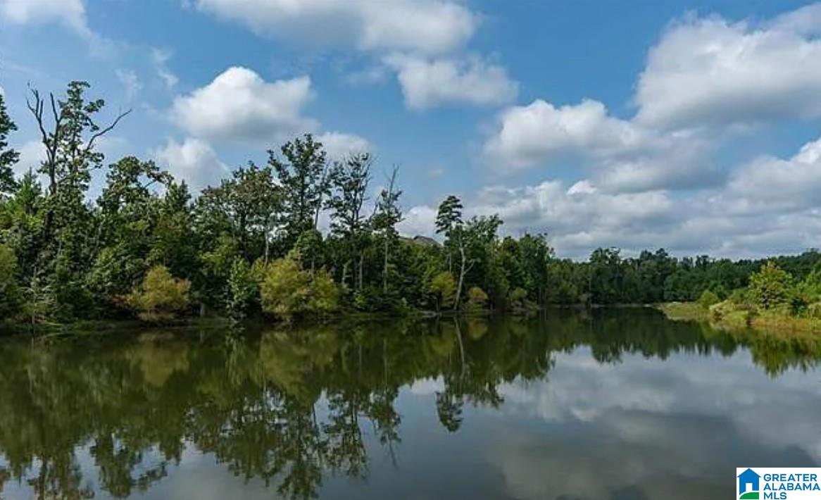 Homes for sale in Springville, AL | 135 Village Springs Cove, Springville, AL 35146 | MLS# 21436854