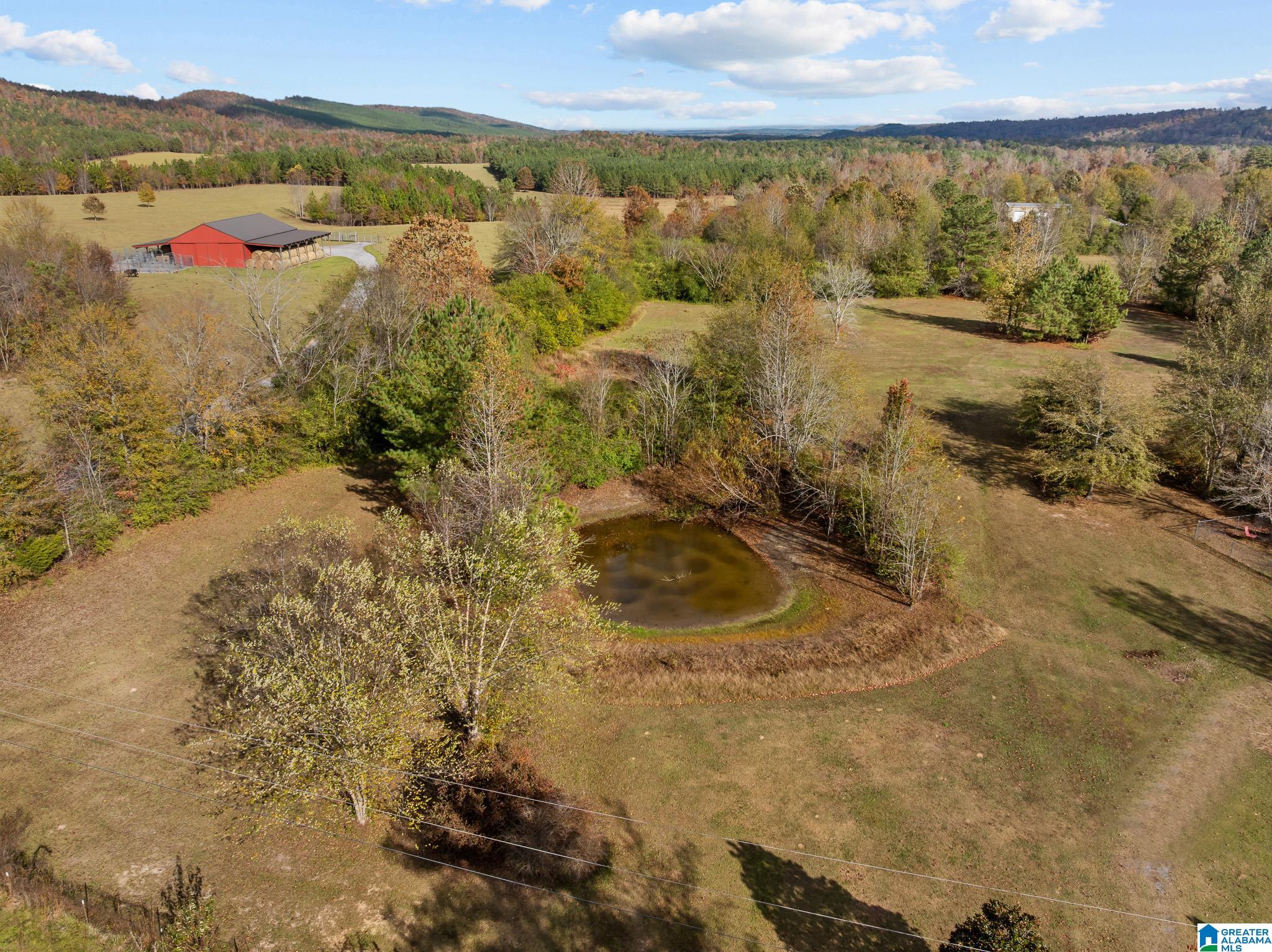 Homes for sale in Ashville, AL | 00 Armstrong Road, Ashville, AL 35953 | MLS# 21436857