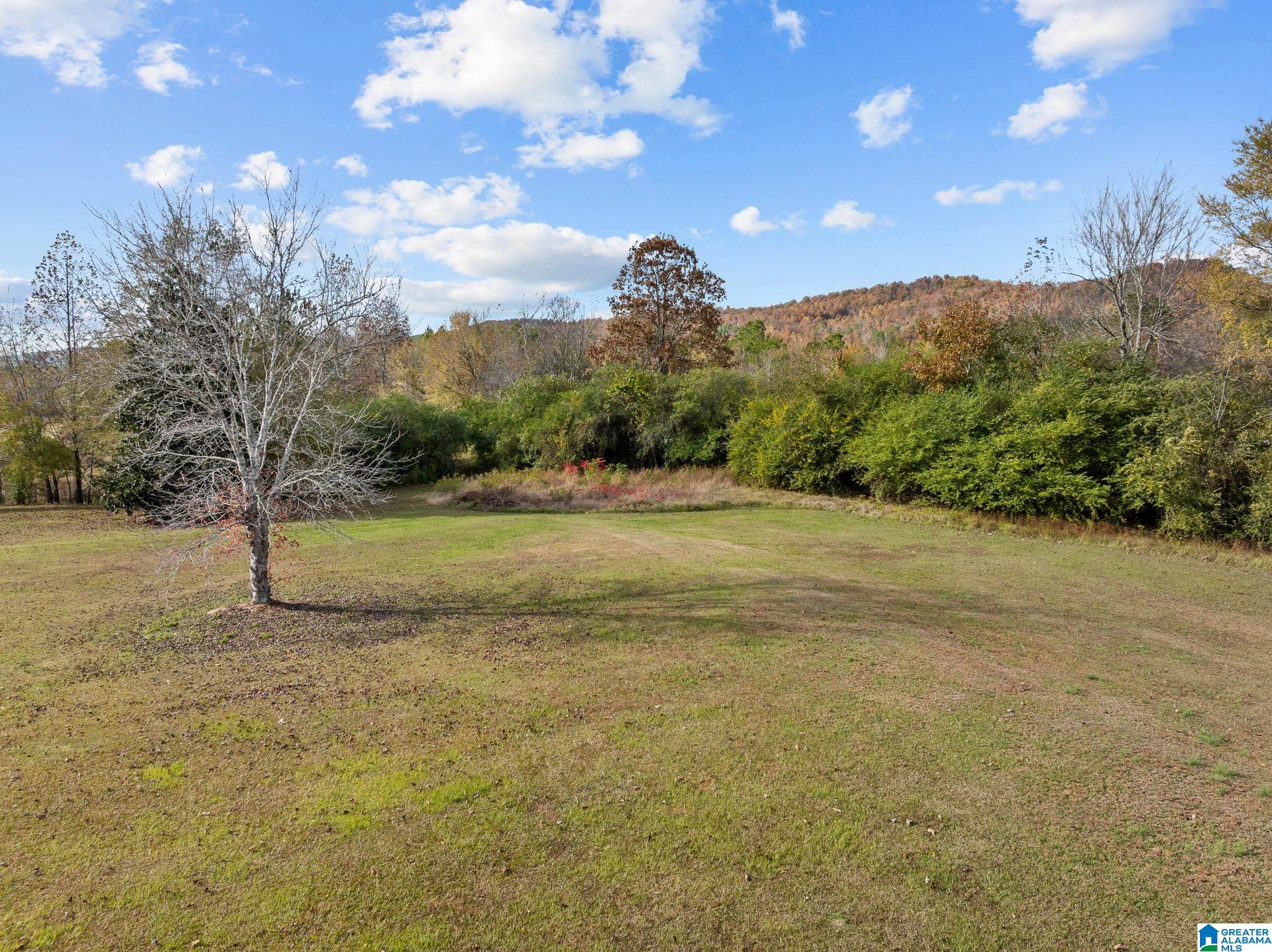 Homes for sale in Ashville, AL | 00 Armstrong Road, Ashville, AL 35953 | MLS# 21436857