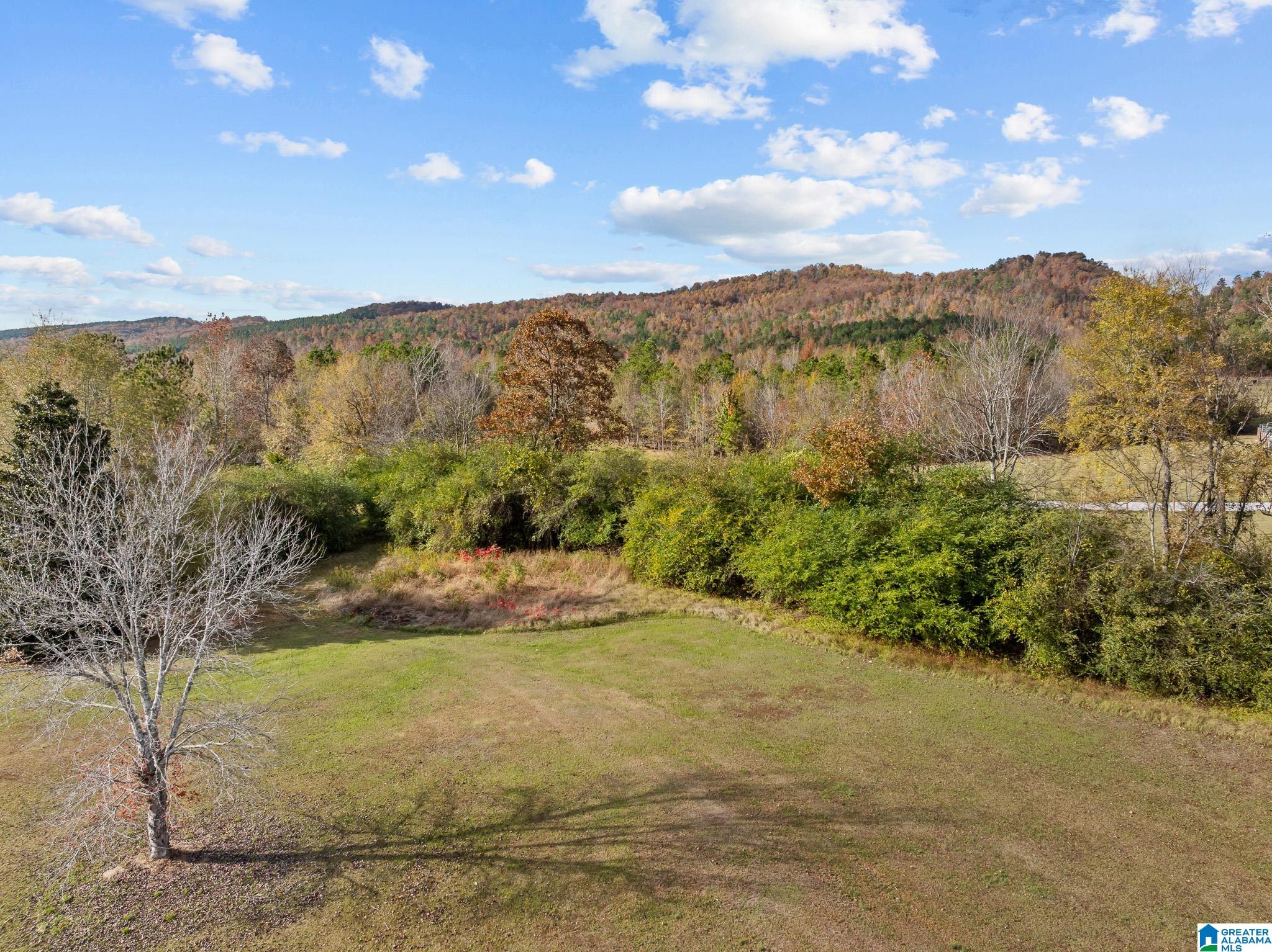 Homes for sale in Ashville, AL | 00 Armstrong Road, Ashville, AL 35953 | MLS# 21436857