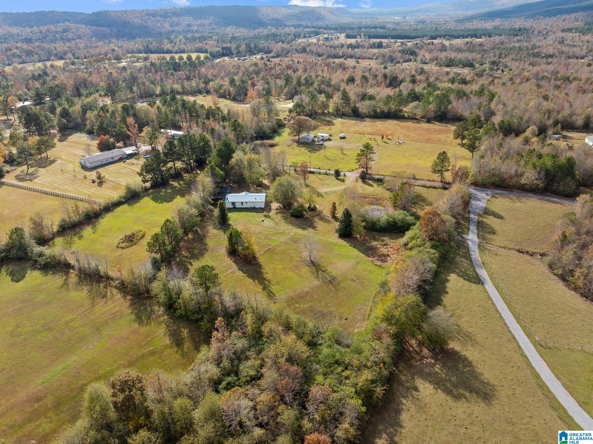 Homes for sale in Ashville, AL | 00 Armstrong Road, Ashville, AL 35953 | MLS# 21436857