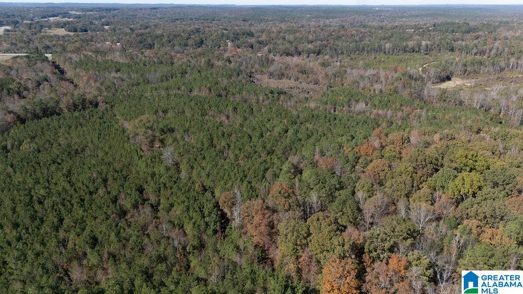 Homes for sale in Centreville, AL | 1122 Montevallo Road, Centreville, AL 35042 | MLS# 21436878