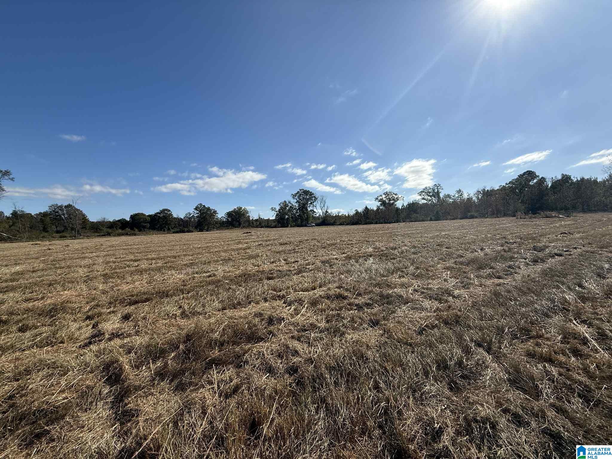 Homes for sale in Thorsby, AL | 4353 County Road 232, Thorsby, AL 35171 | MLS# 21436884