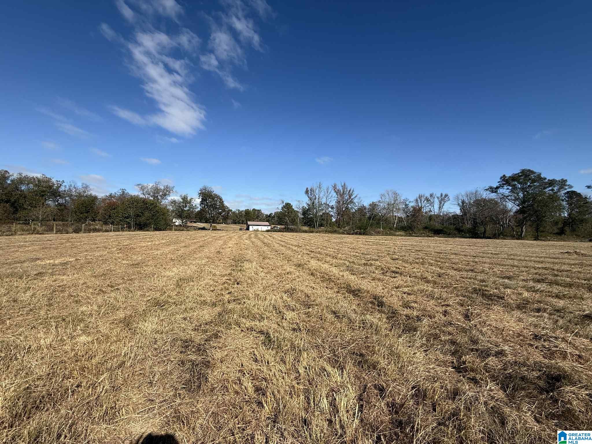 4353 COUNTY ROAD 232