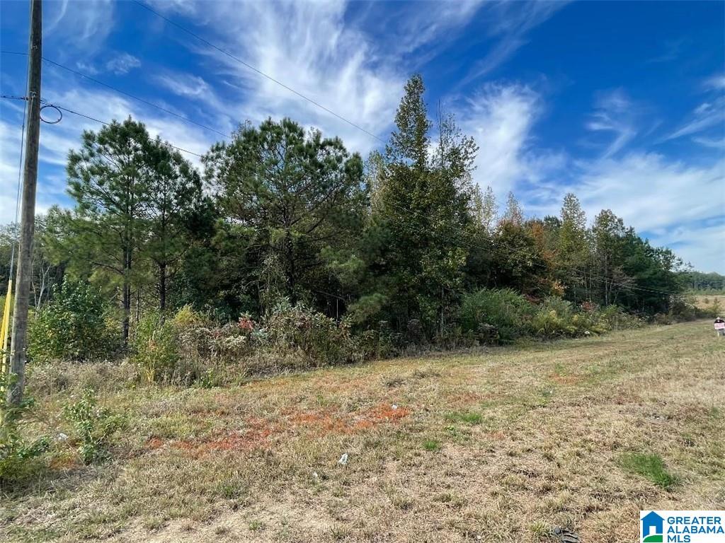 Homes for sale in Northport, AL | 3 Hwy 43, Northport, AL 35475 | MLS# 21436918