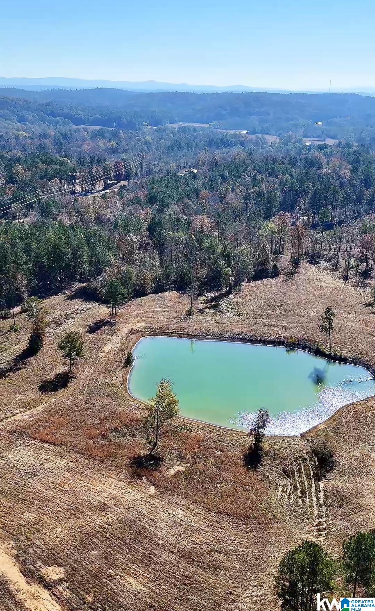 Homes for sale in Ohatchee, AL | 0 Gilberts Ferry Road, Ohatchee, AL 36271 | MLS# 21437022