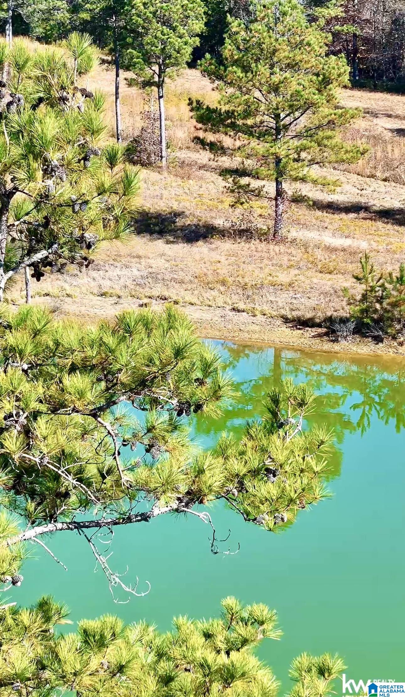 Homes for sale in Ohatchee, AL | 0 Gilberts Ferry Road, Ohatchee, AL 36271 | MLS# 21437022