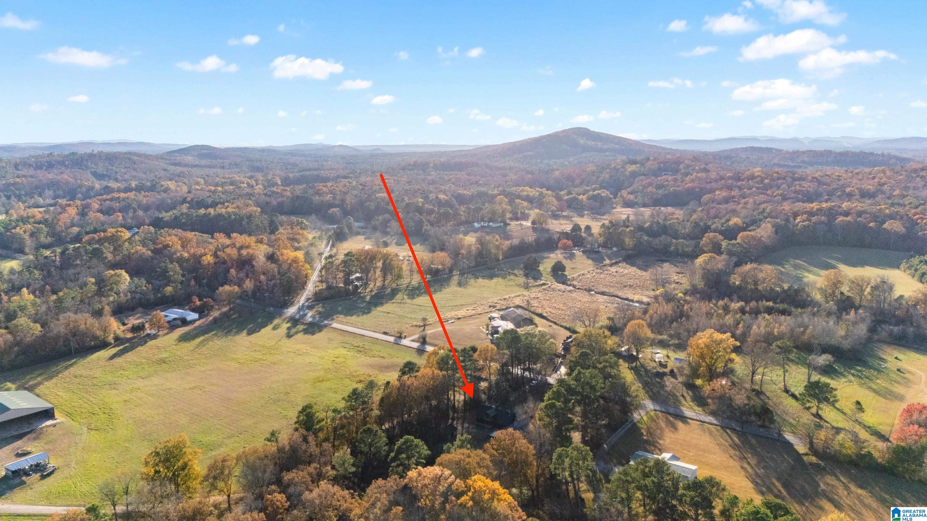 Homes for sale in Ashville, AL | 1790 Ray Wyatt Road, Ashville, AL 35953 | MLS# 21437046