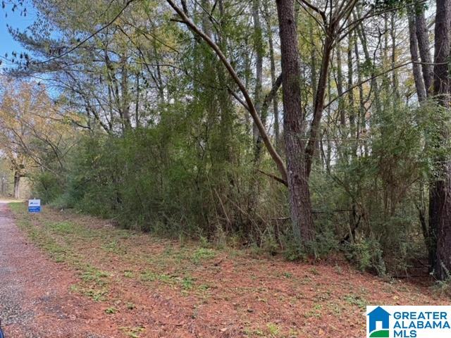 Homes for sale in Bessemer, AL | 2201 White Post Road, Bessemer, AL 35023 | MLS# 21437078