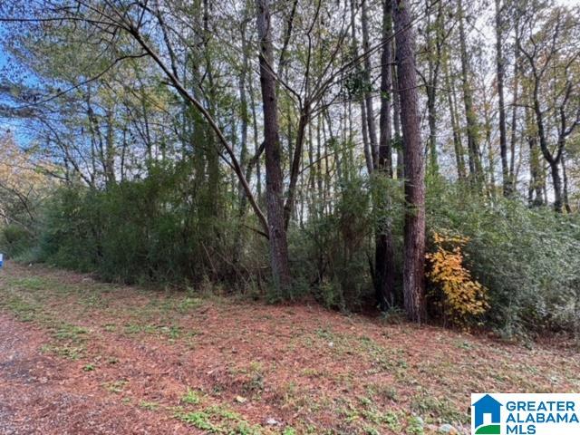 Homes for sale in Bessemer, AL | 2201 White Post Road, Bessemer, AL 35023 | MLS# 21437078