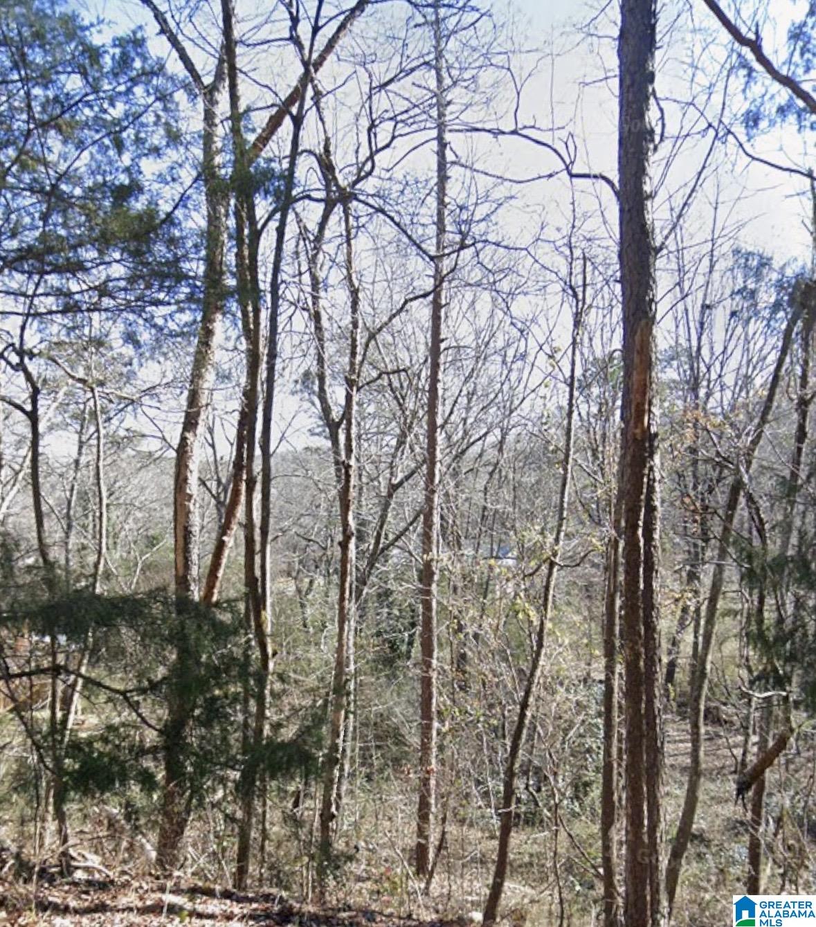 0 RIDGELY DRIVE