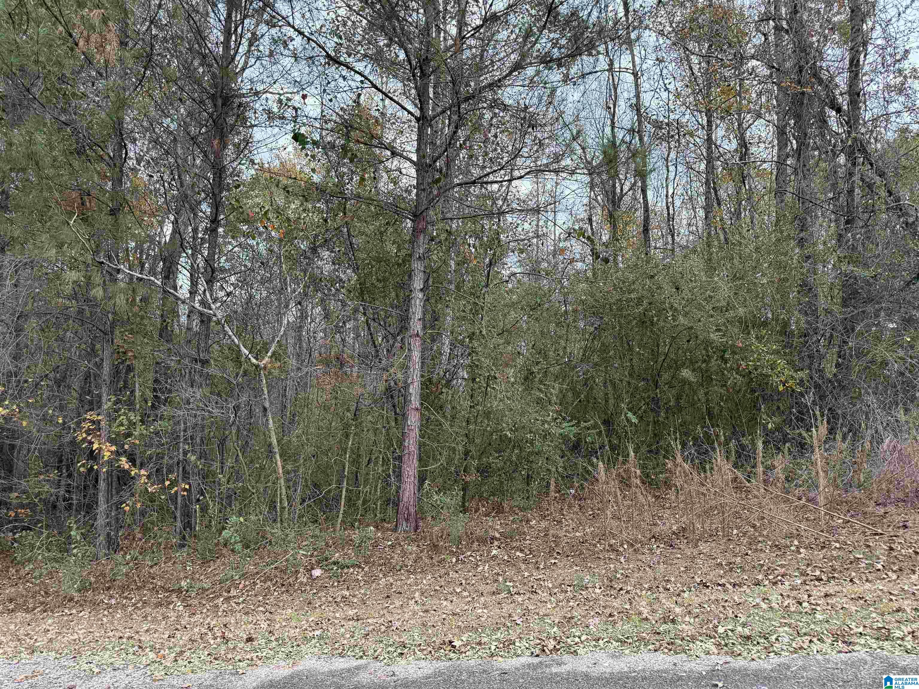 Homes for sale in Warrior, AL | 1 Spring Cove Road, Warrior, AL 35180 | MLS# 21437219