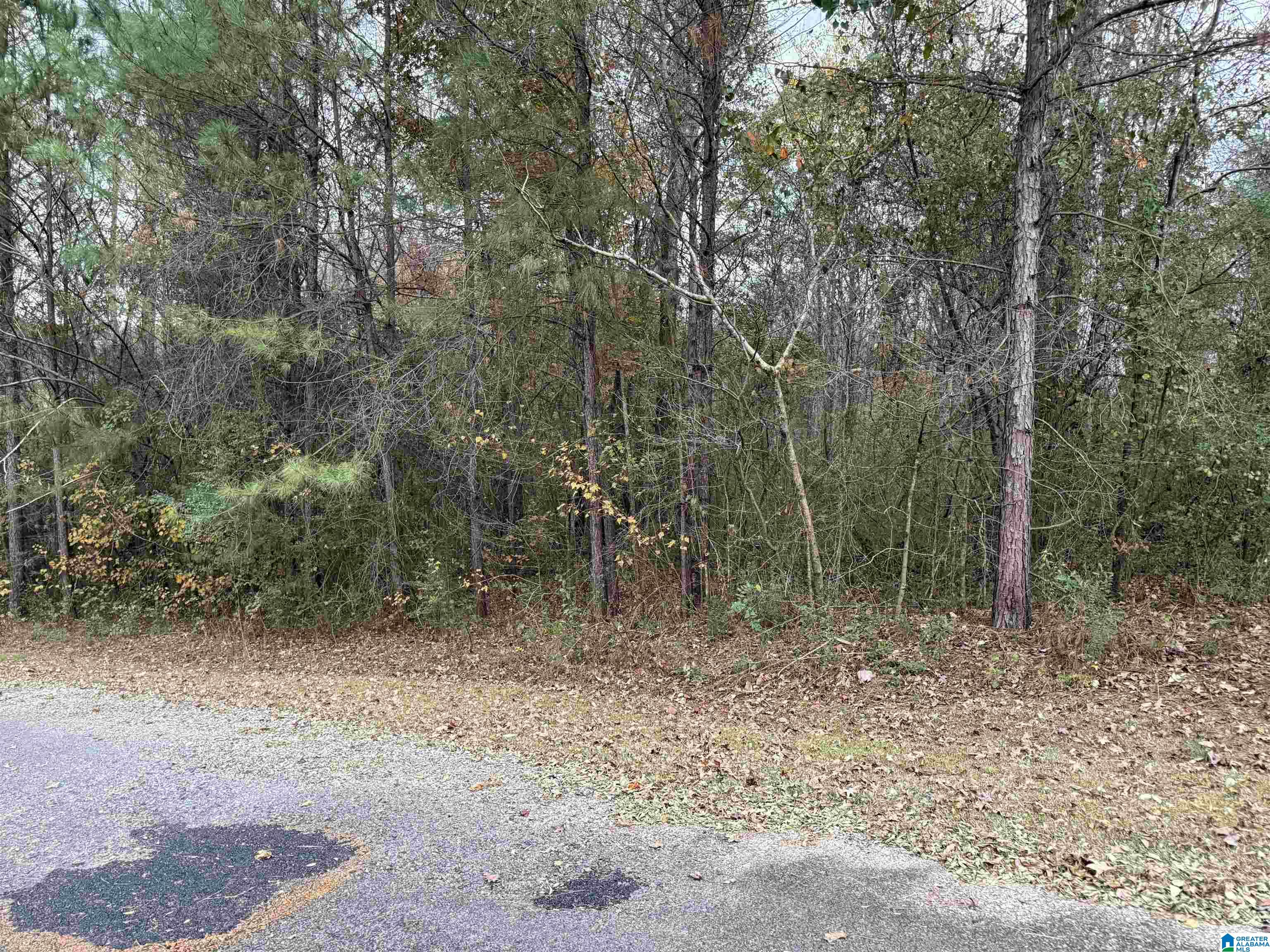 Homes for sale in Warrior, AL | 1 Spring Cove Road, Warrior, AL 35180 | MLS# 21437219