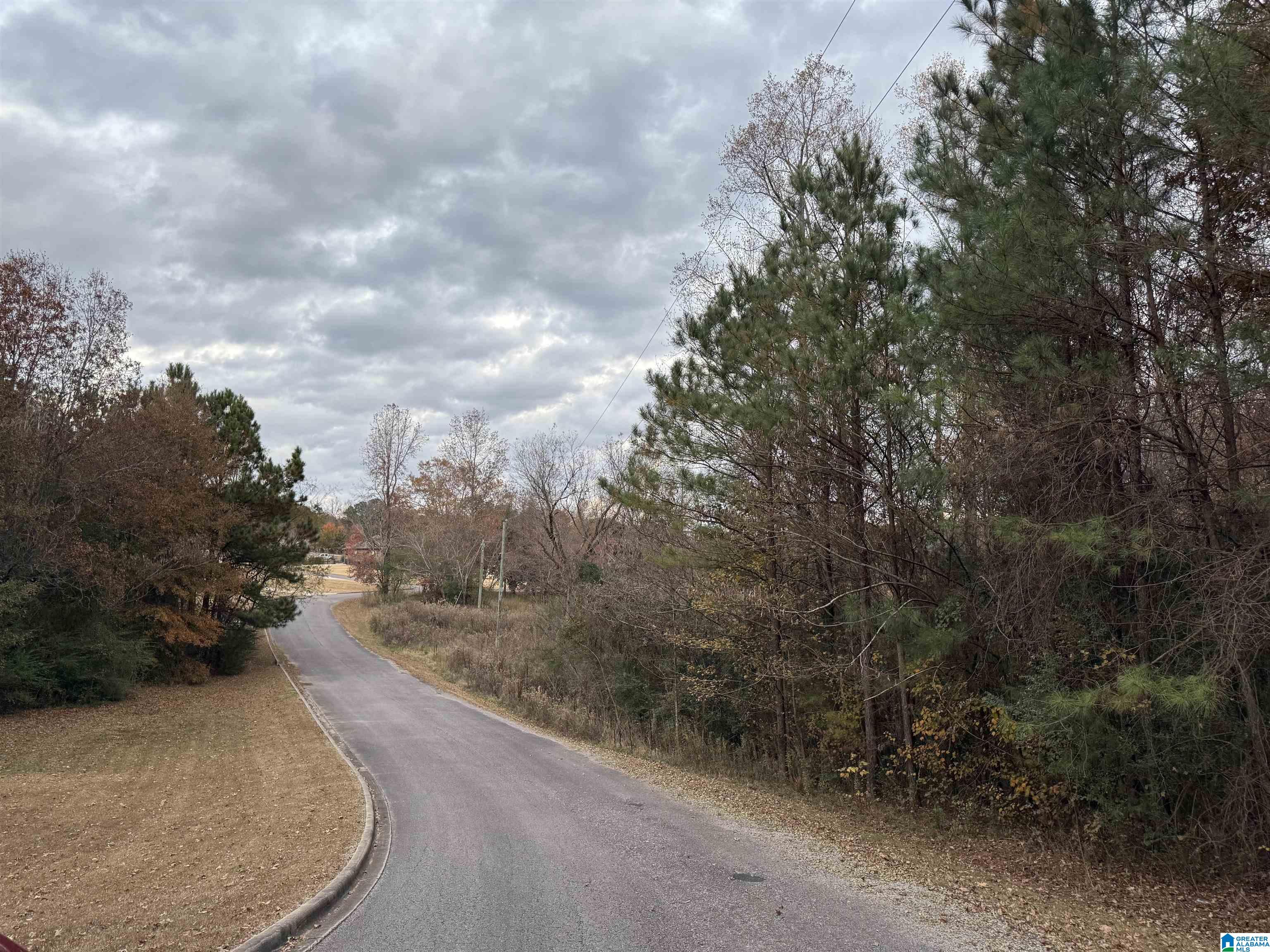 Homes for sale in Warrior, AL | 1 Spring Cove Road, Warrior, AL 35180 | MLS# 21437219