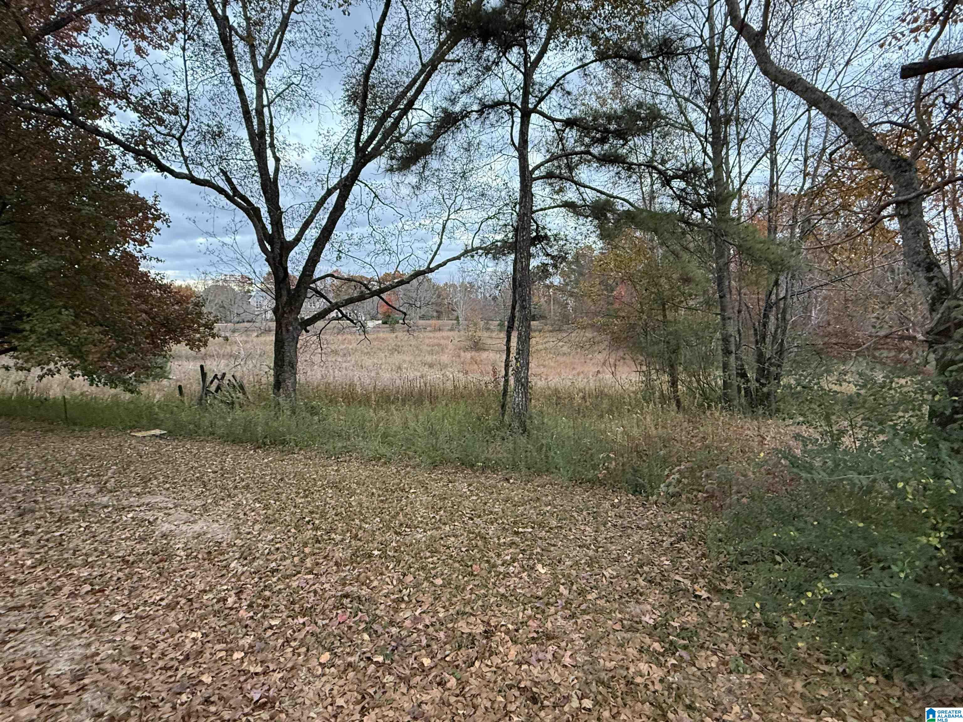 Homes for sale in Warrior, AL | 3 Spring Cove Road, Warrior, AL 35180 | MLS# 21437220