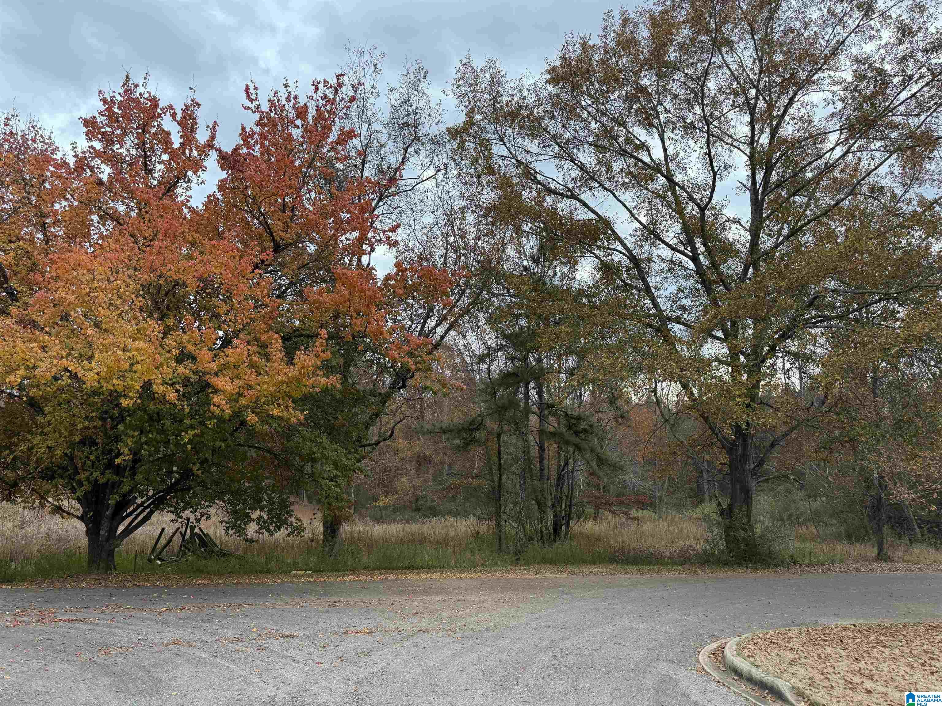 Homes for sale in Warrior, AL | 3 Spring Cove Road, Warrior, AL 35180 | MLS# 21437220