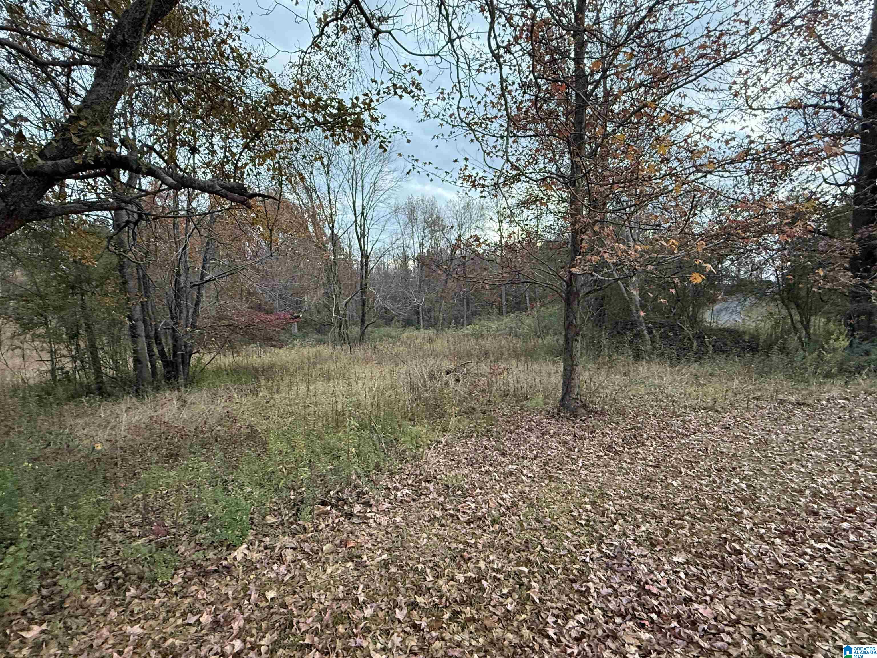 Homes for sale in Warrior, AL | 3 Spring Cove Road, Warrior, AL 35180 | MLS# 21437220