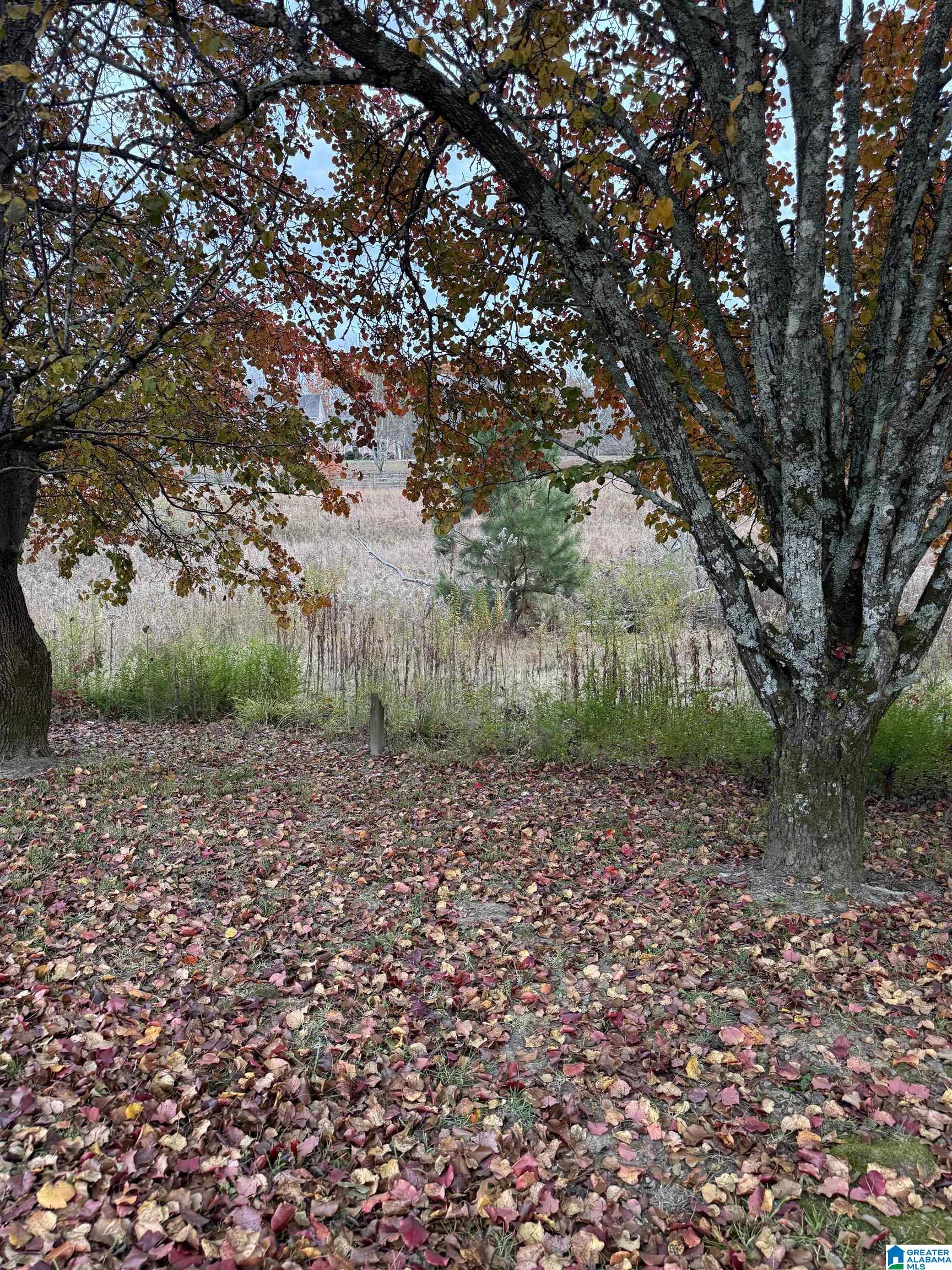 Homes for sale in Warrior, AL | 4 Spring Cove Road, Warrior, AL 35180 | MLS# 21437221