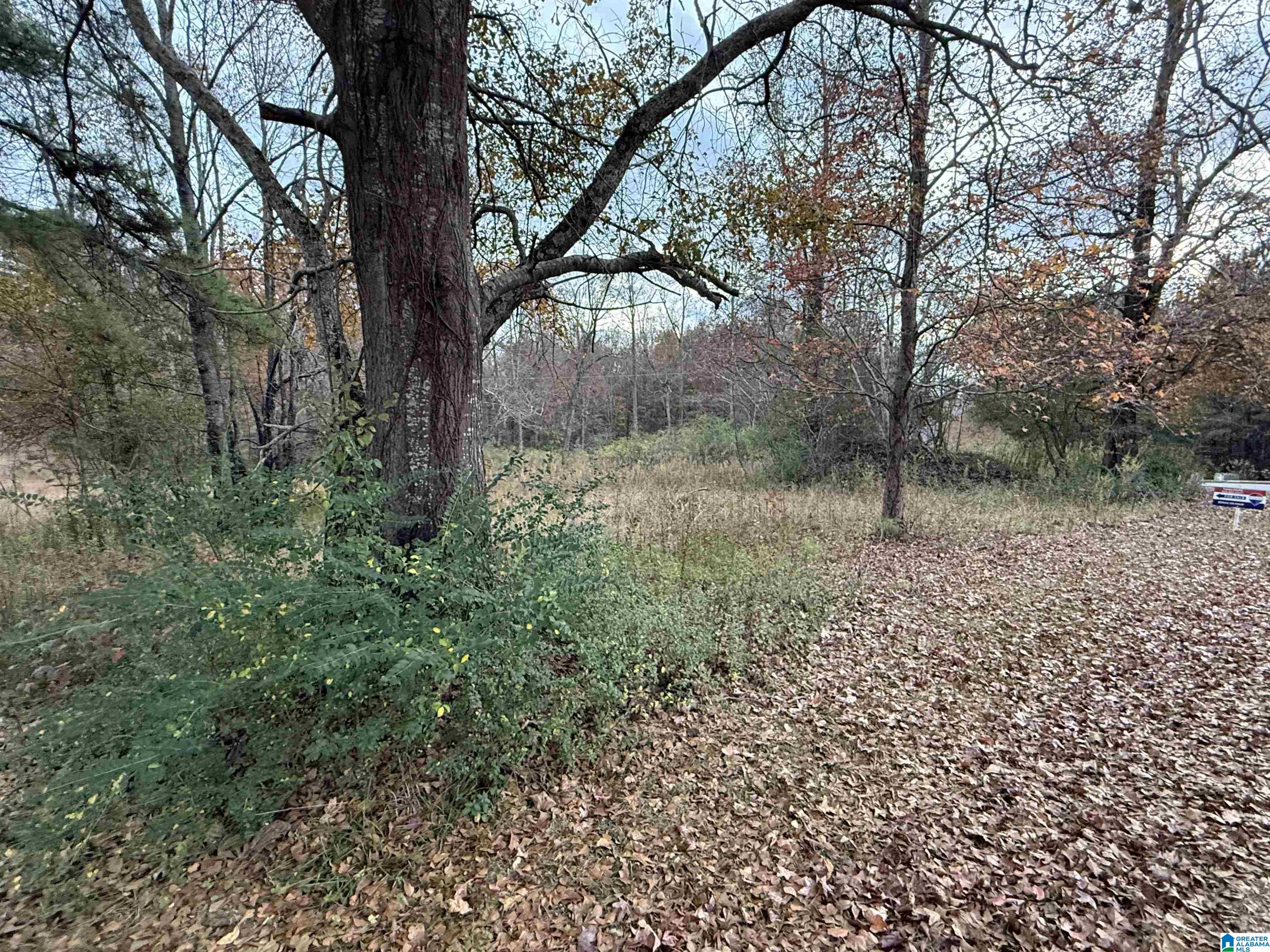 Homes for sale in Warrior, AL | 4 Spring Cove Road, Warrior, AL 35180 | MLS# 21437221