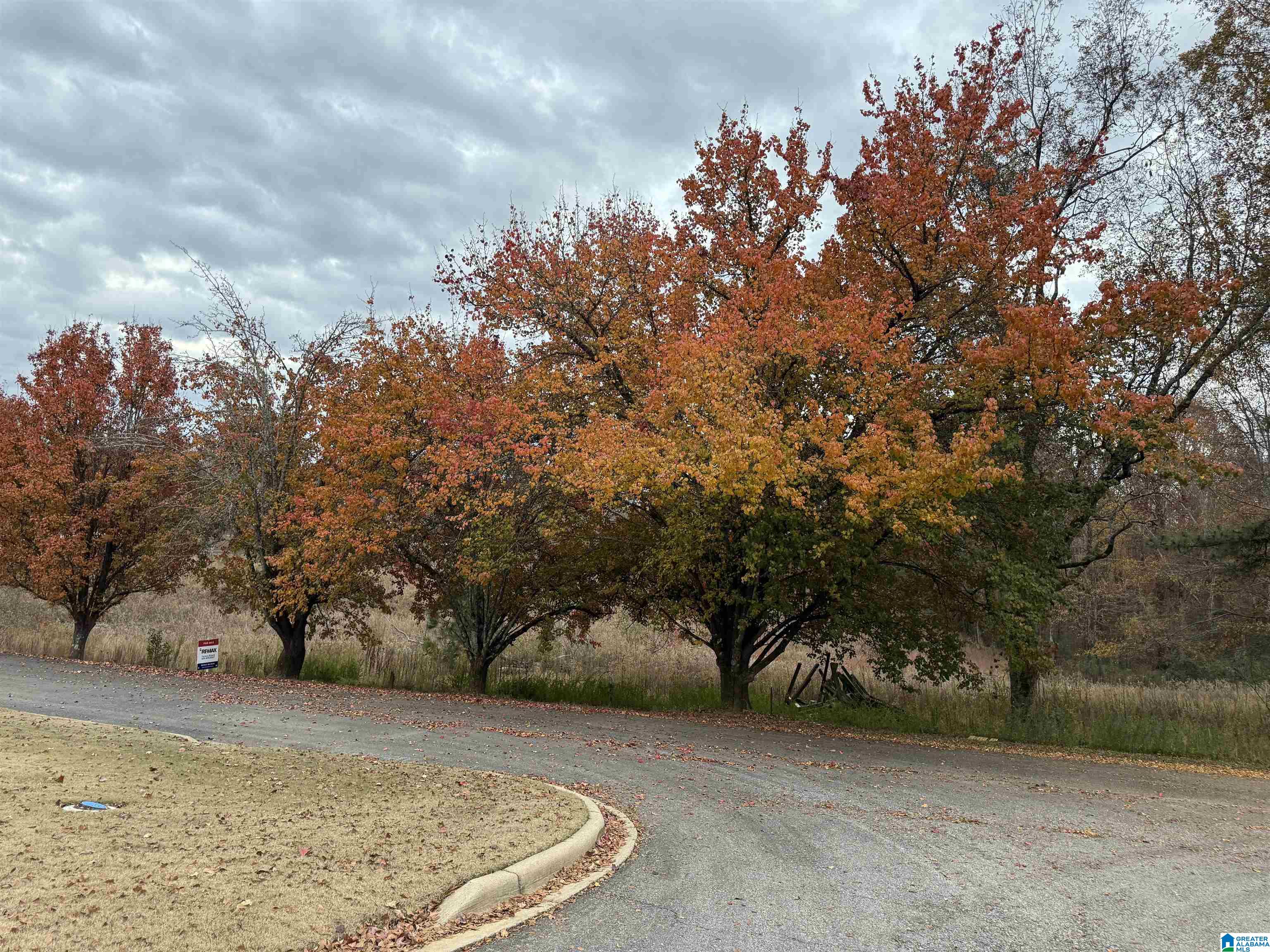 Homes for sale in Warrior, AL | 4 Spring Cove Road, Warrior, AL 35180 | MLS# 21437221