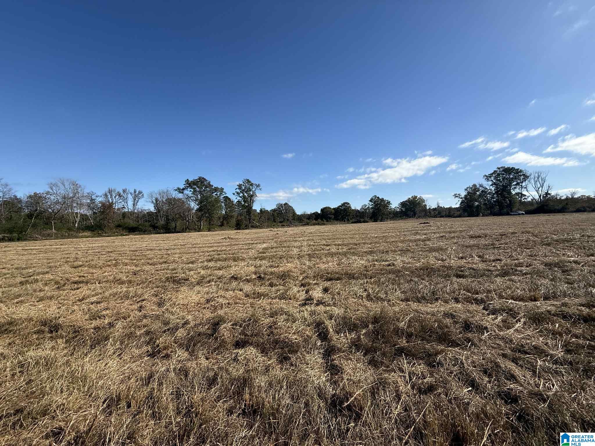 Homes for sale in Thorsby, AL | 4353 County Road 232, Thorsby, AL 35171 | MLS# 21437311