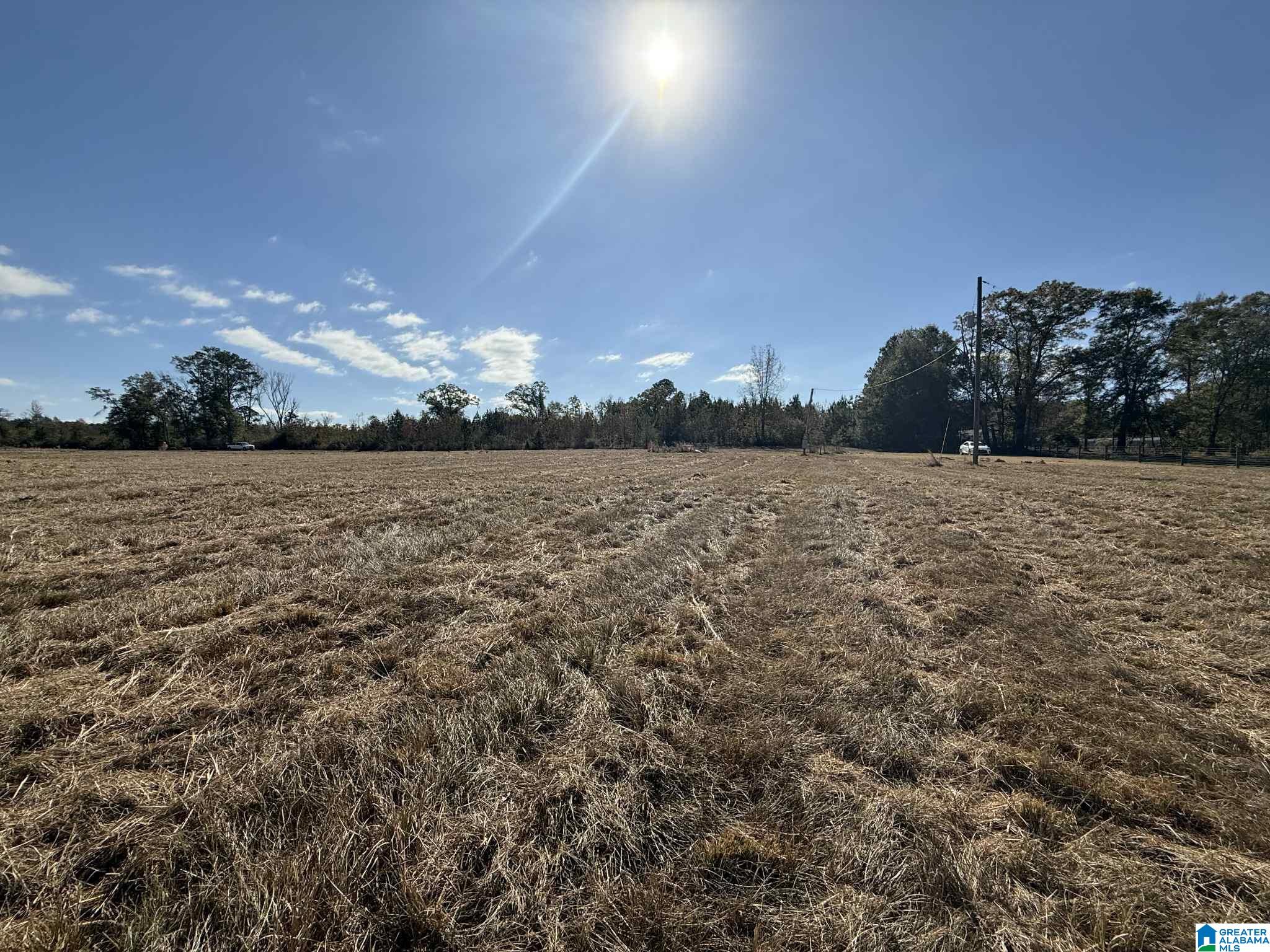 Homes for sale in Thorsby, AL | 4353 County Road 232, Thorsby, AL 35171 | MLS# 21437311