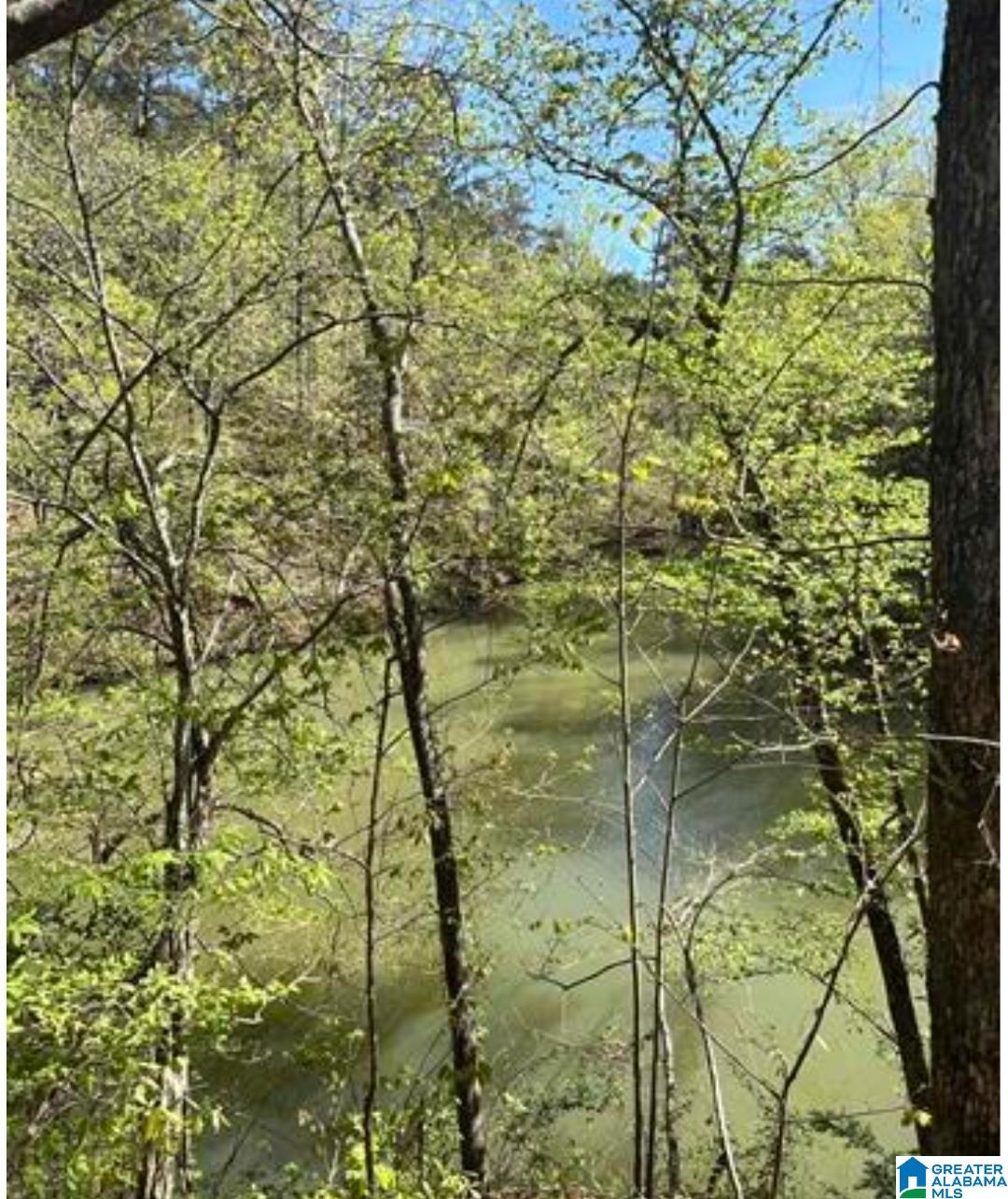 Homes for sale in Adger, AL | 248 Riverview Road, Adger, AL 35006 | MLS# 21437387