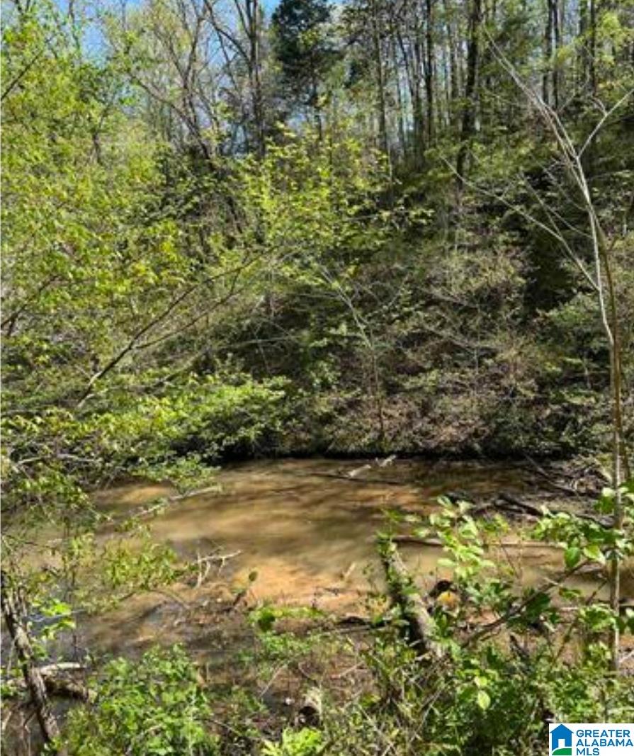 Homes for sale in Adger, AL | 248 Riverview Road, Adger, AL 35006 | MLS# 21437387