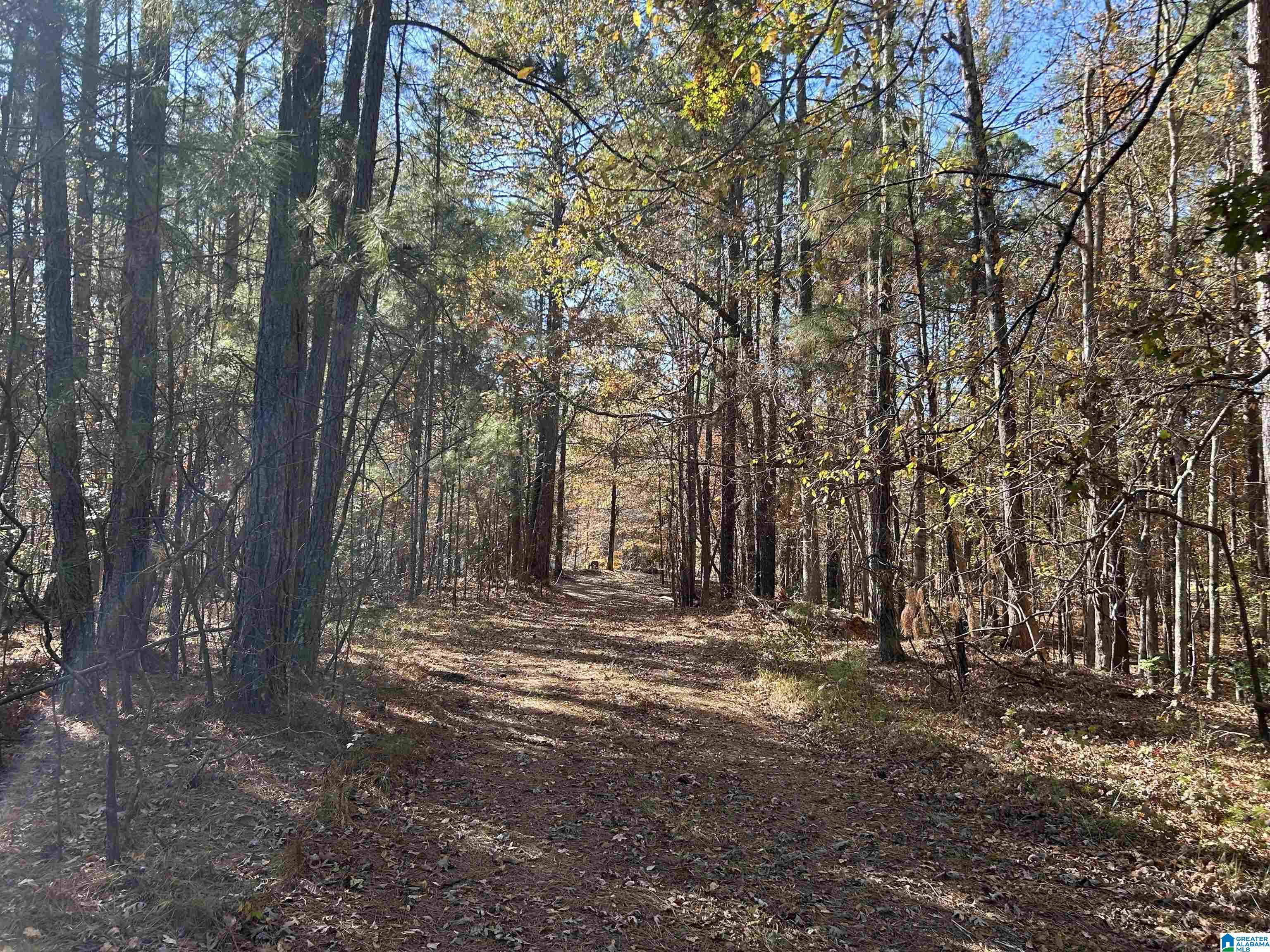 Homes for sale in Chelsea, AL | 268 Nichols Road, Chelsea, AL 35043 | MLS# 21437397