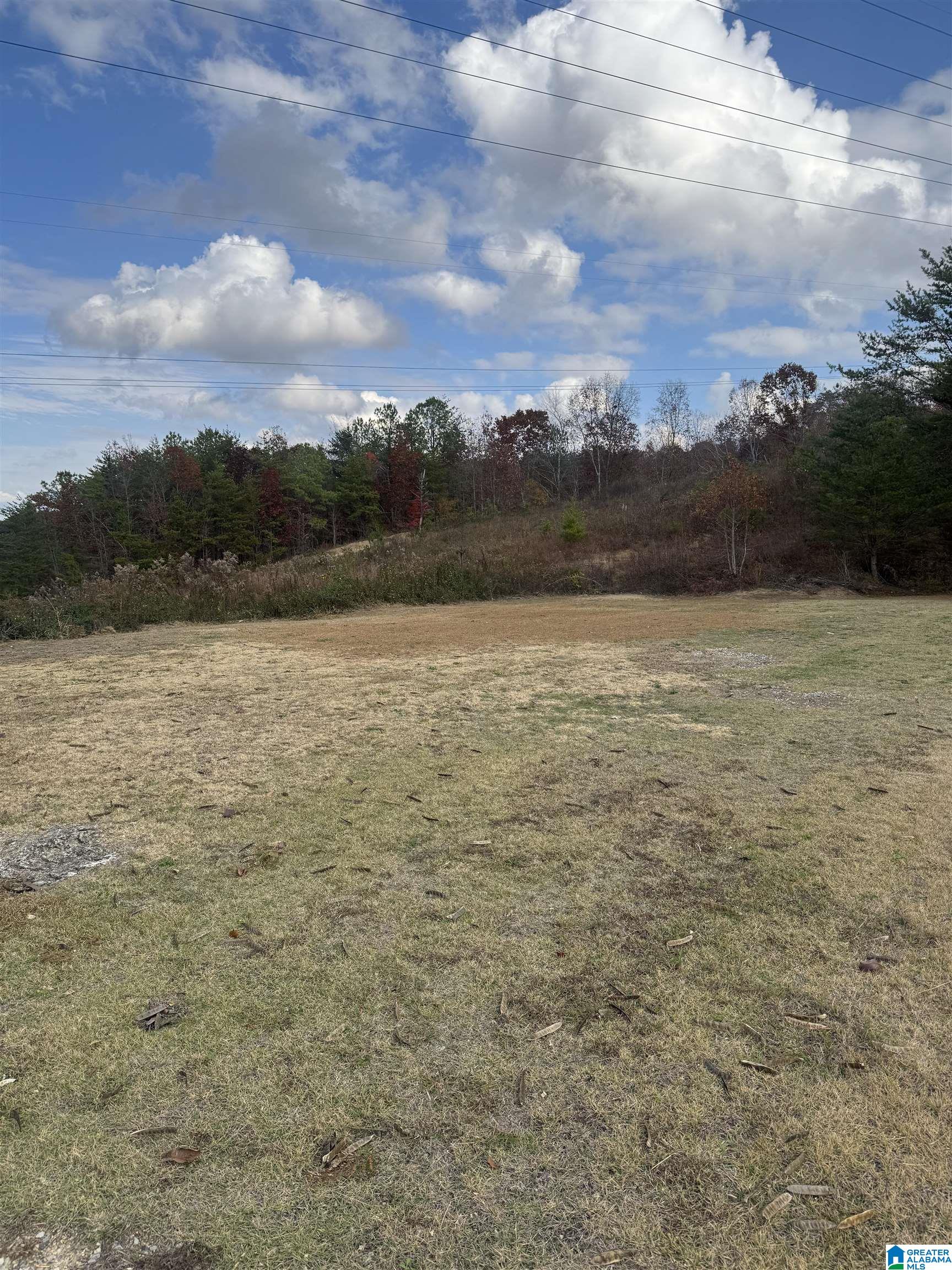 Homes for sale in Mount Olive, AL | 4329 Hathaway Lane, Mount Olive, AL 35117 | MLS# 21437401